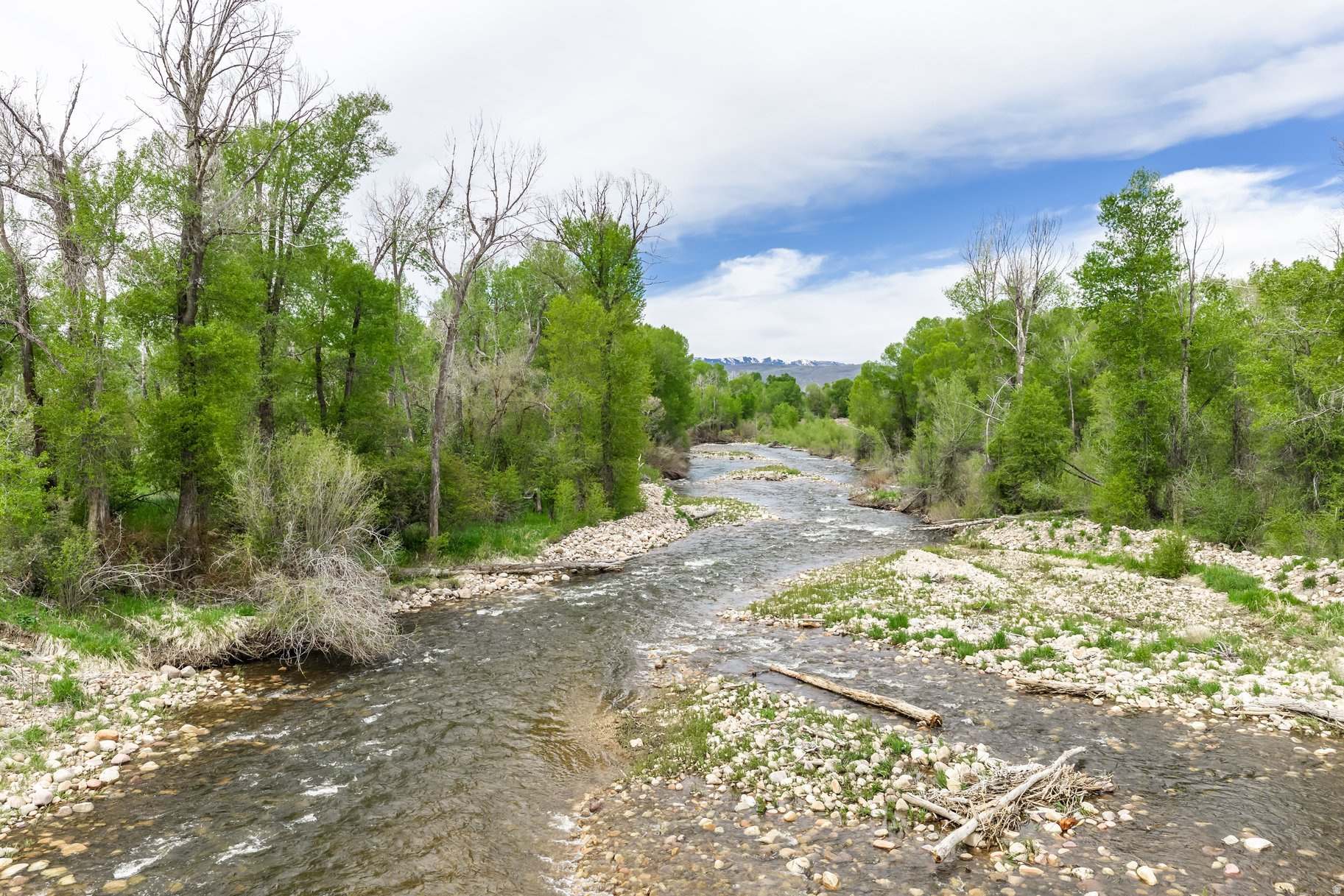 OAKLEY TOWN (BOULDERVILLE) - Residential
