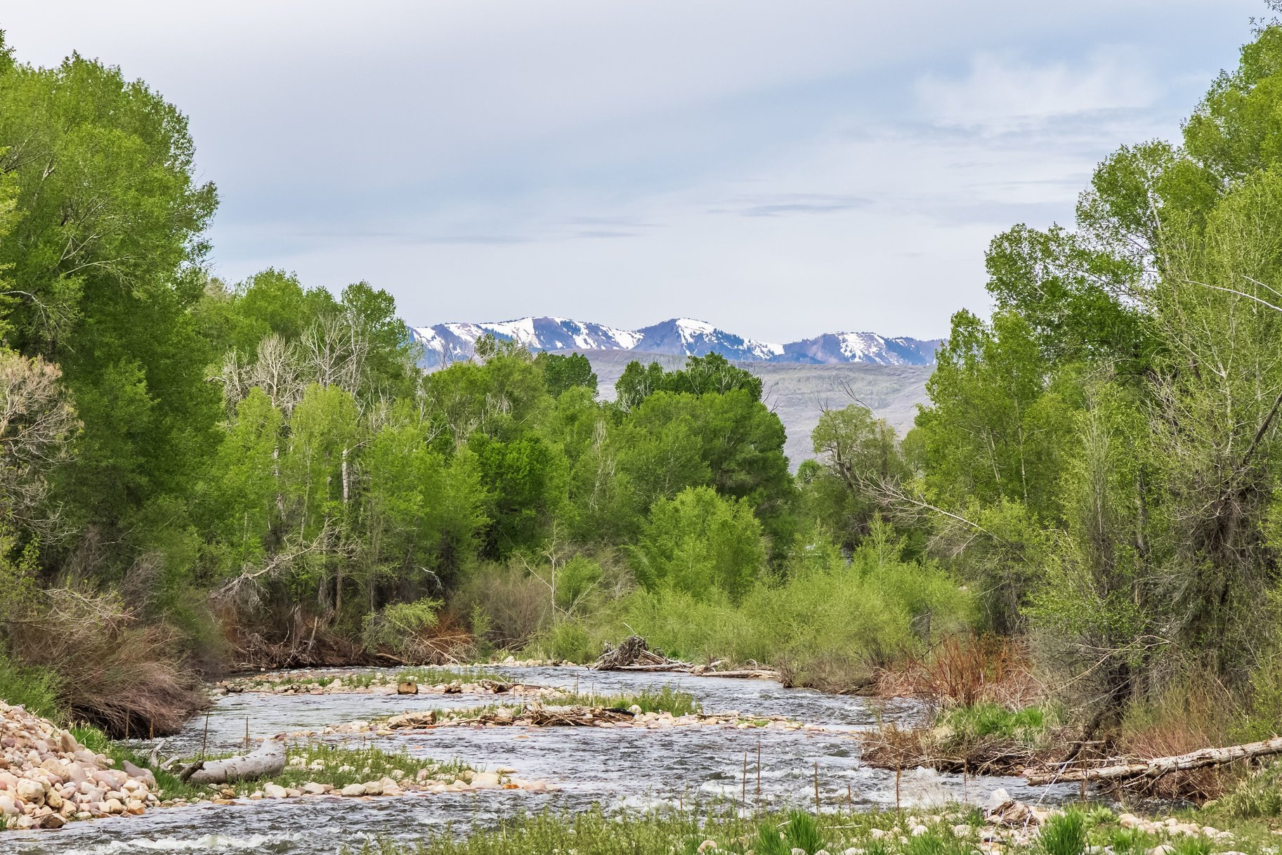 OAKLEY TOWN (BOULDERVILLE) - Residential
