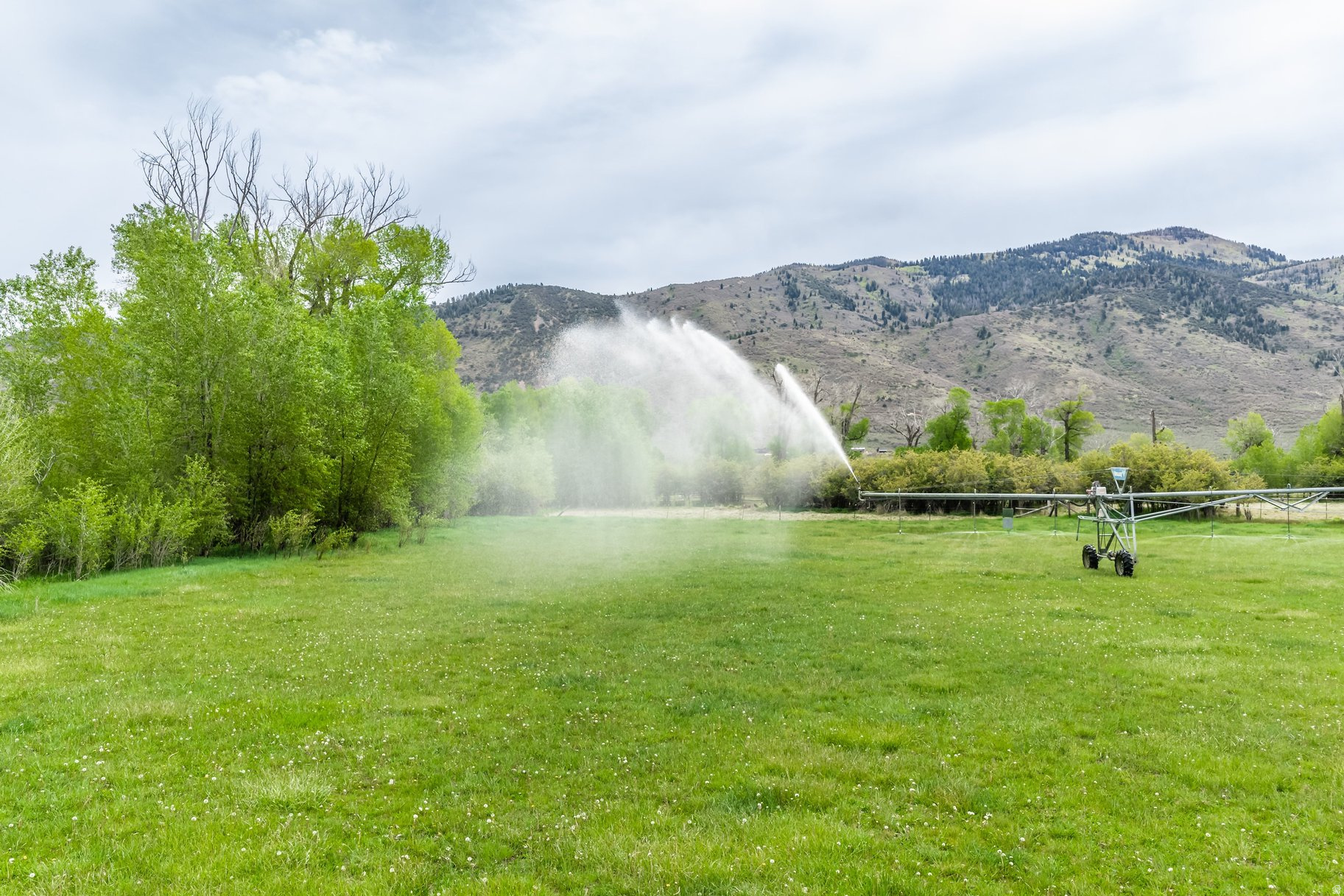 OAKLEY TOWN (BOULDERVILLE) - Residential