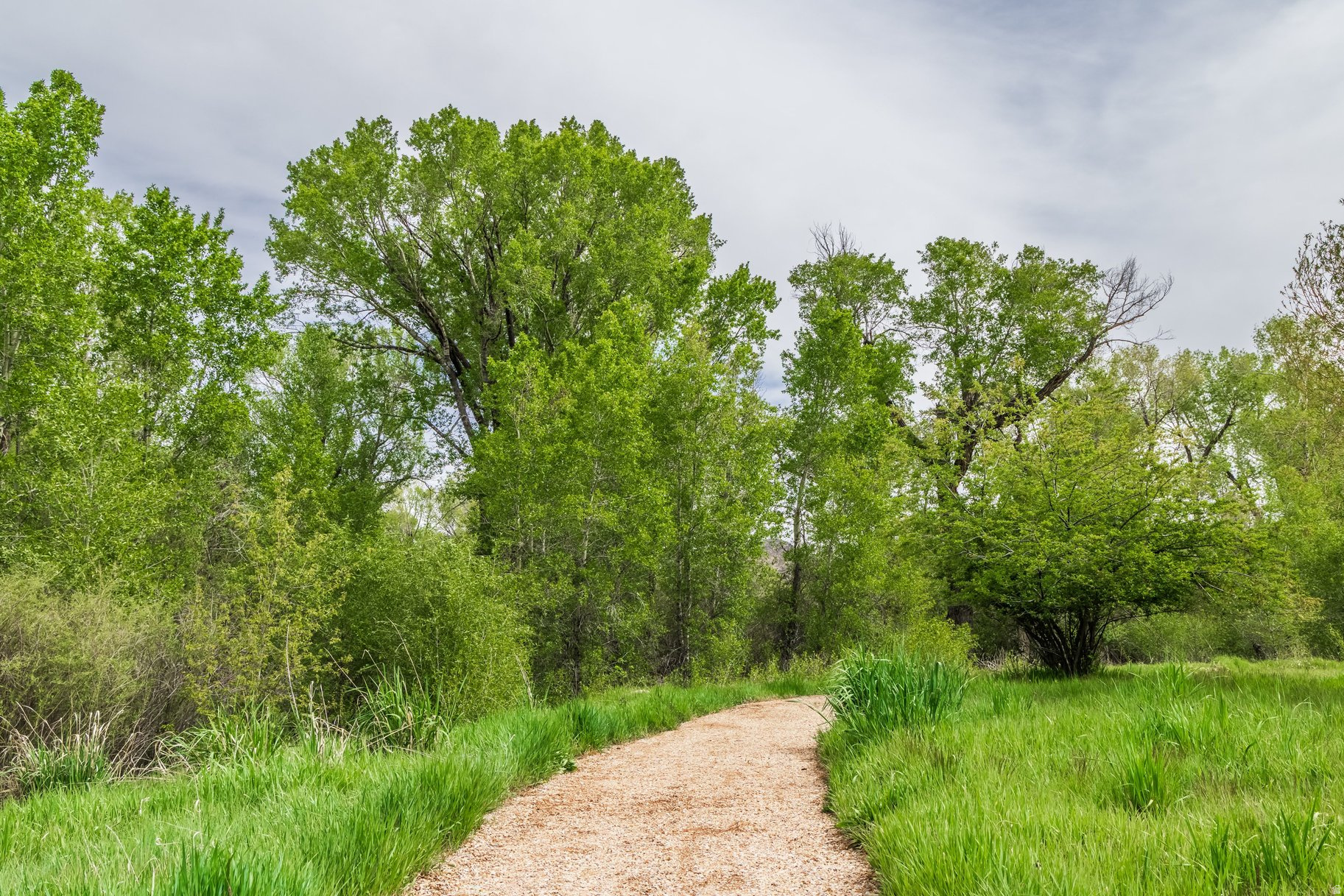 OAKLEY TOWN (BOULDERVILLE) - Residential