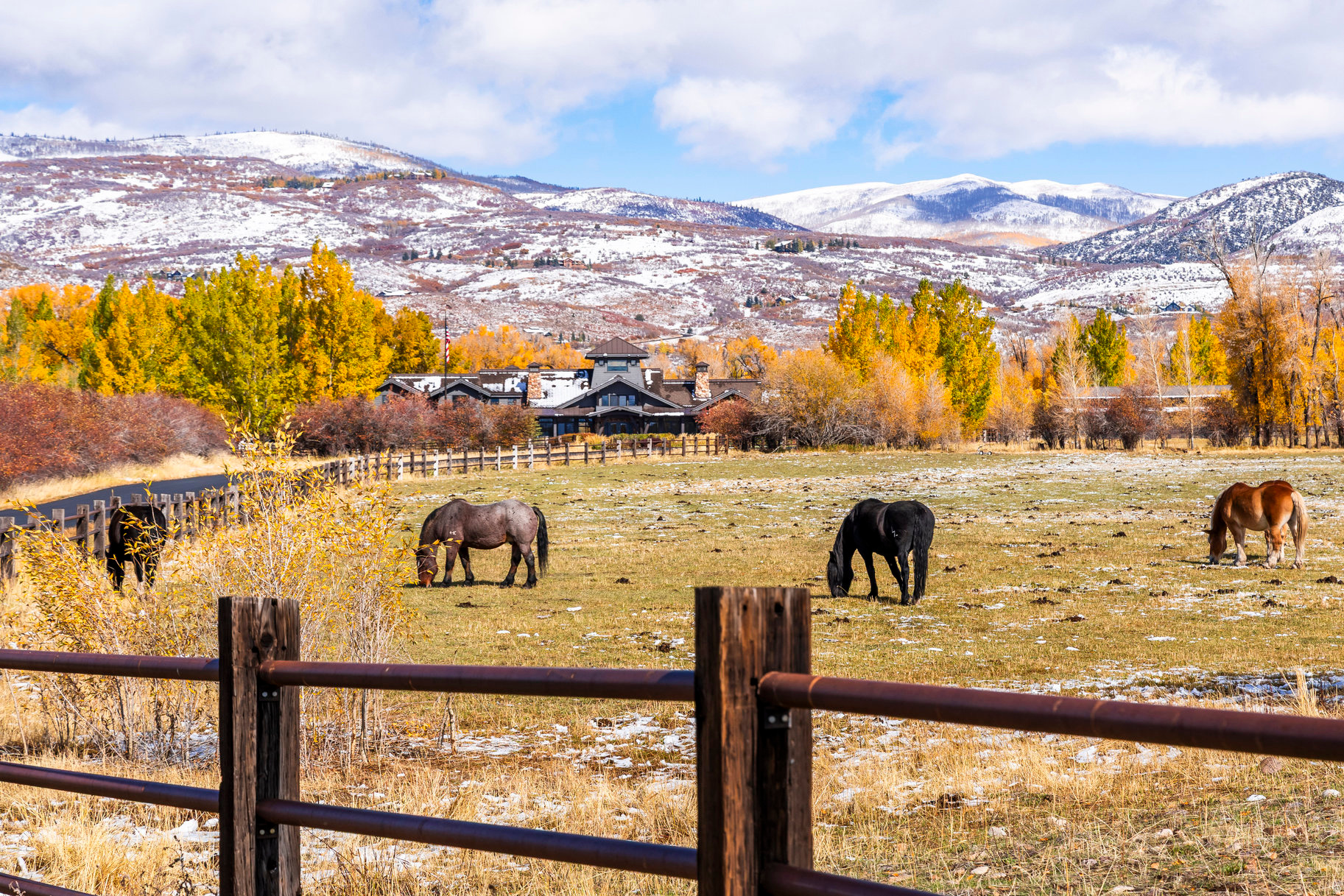 OAKLEY TOWN (BOULDERVILLE) - Residential