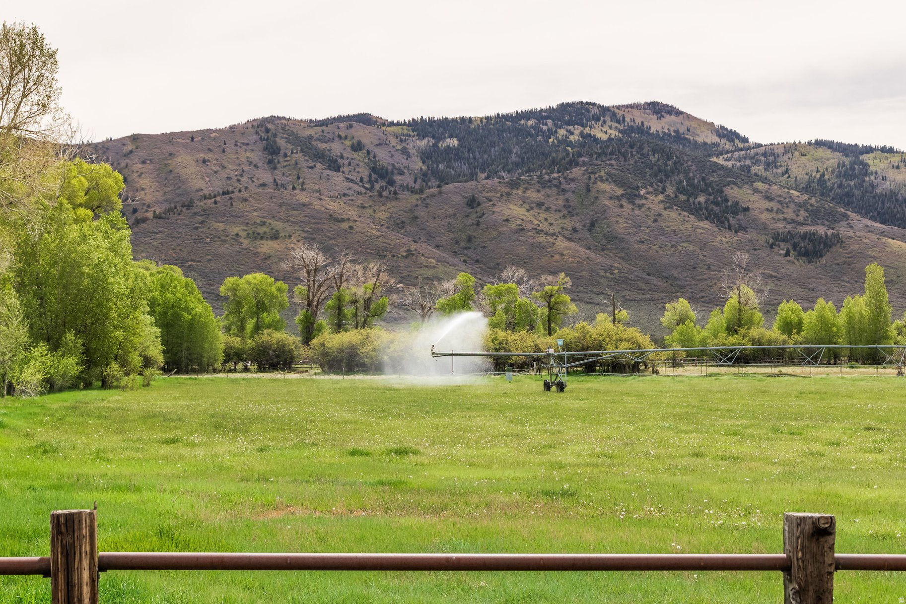 OAKLEY TOWN (BOULDERVILLE) - Residential