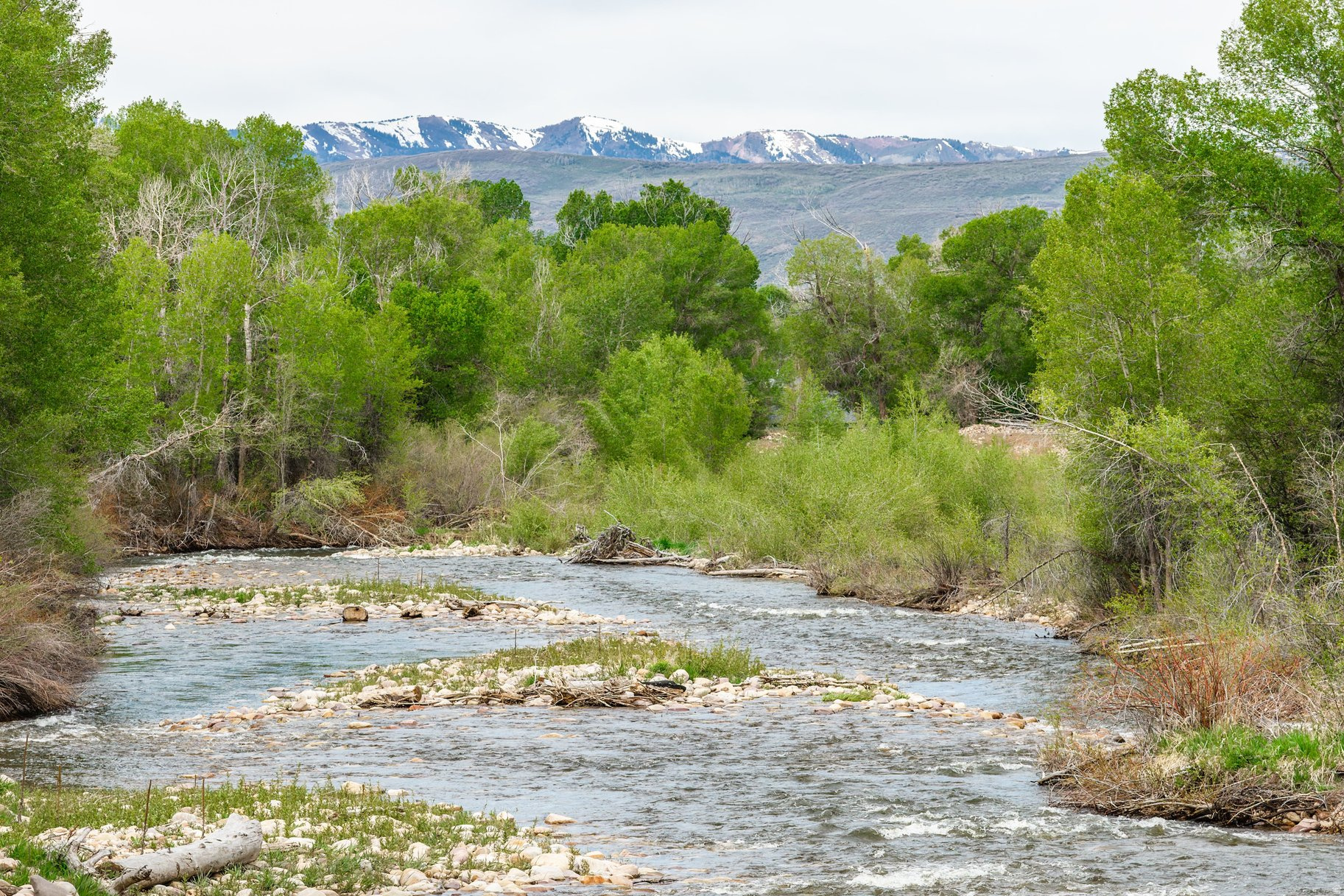 OAKLEY TOWN (BOULDERVILLE) - Residential