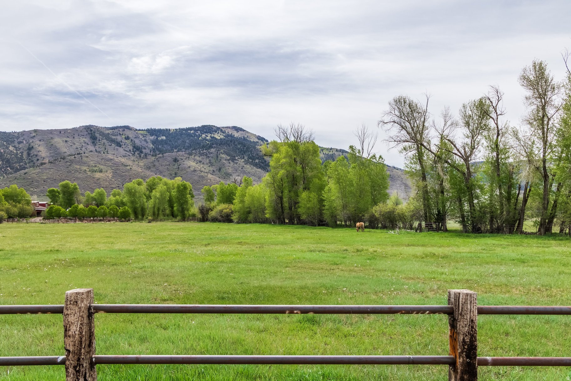 OAKLEY TOWN (BOULDERVILLE) - Residential
