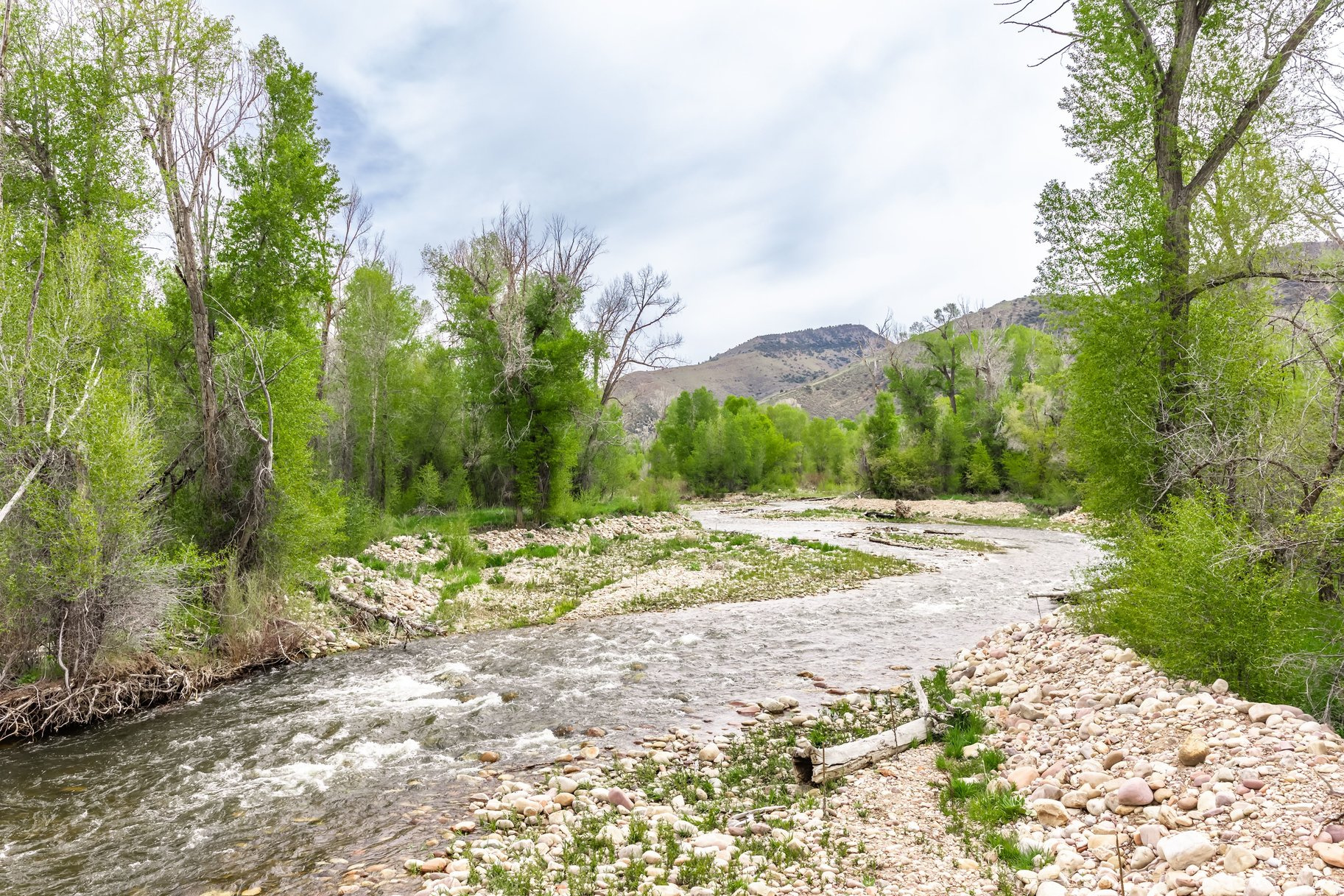OAKLEY TOWN (BOULDERVILLE) - Residential