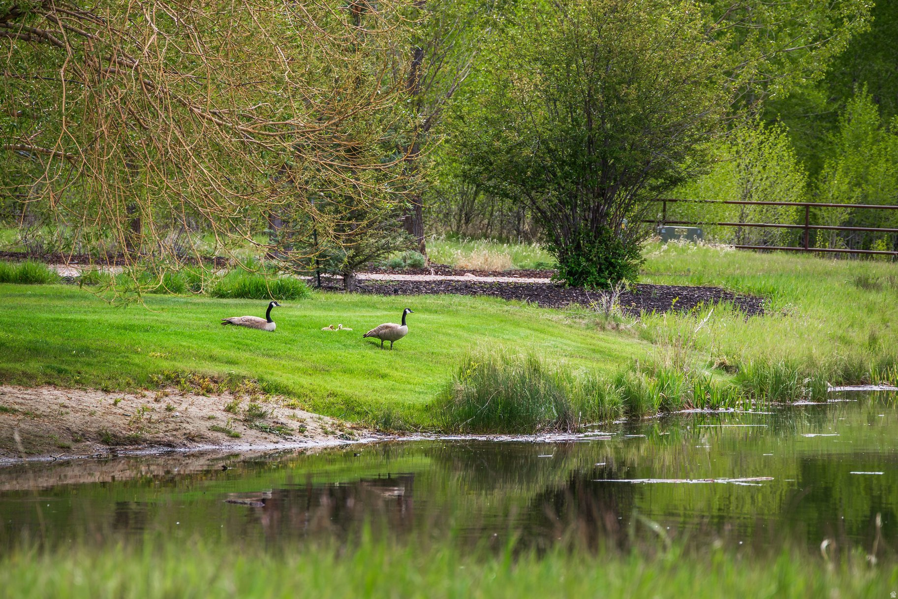 OAKLEY TOWN (BOULDERVILLE) - Residential