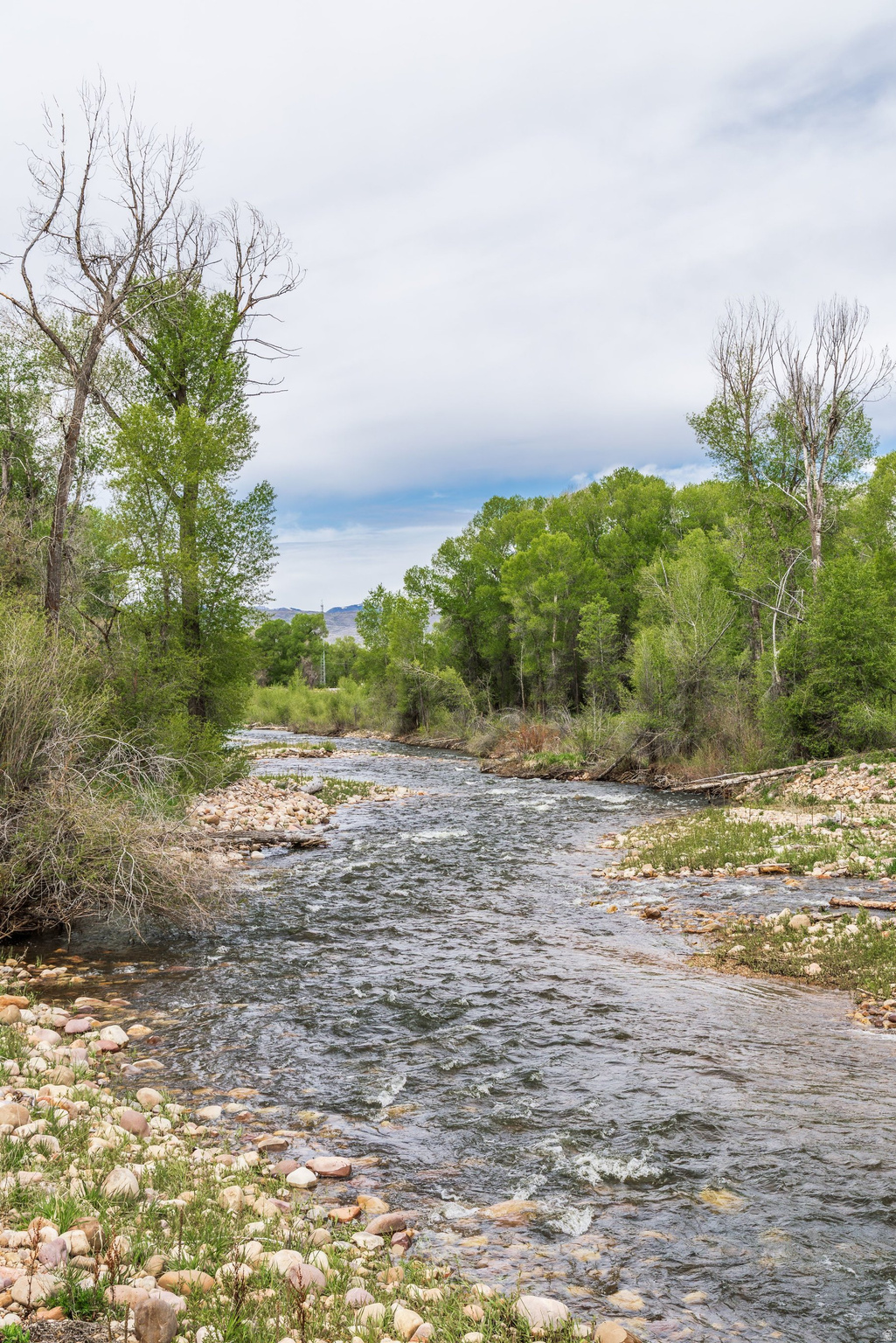 OAKLEY TOWN (BOULDERVILLE) - Residential