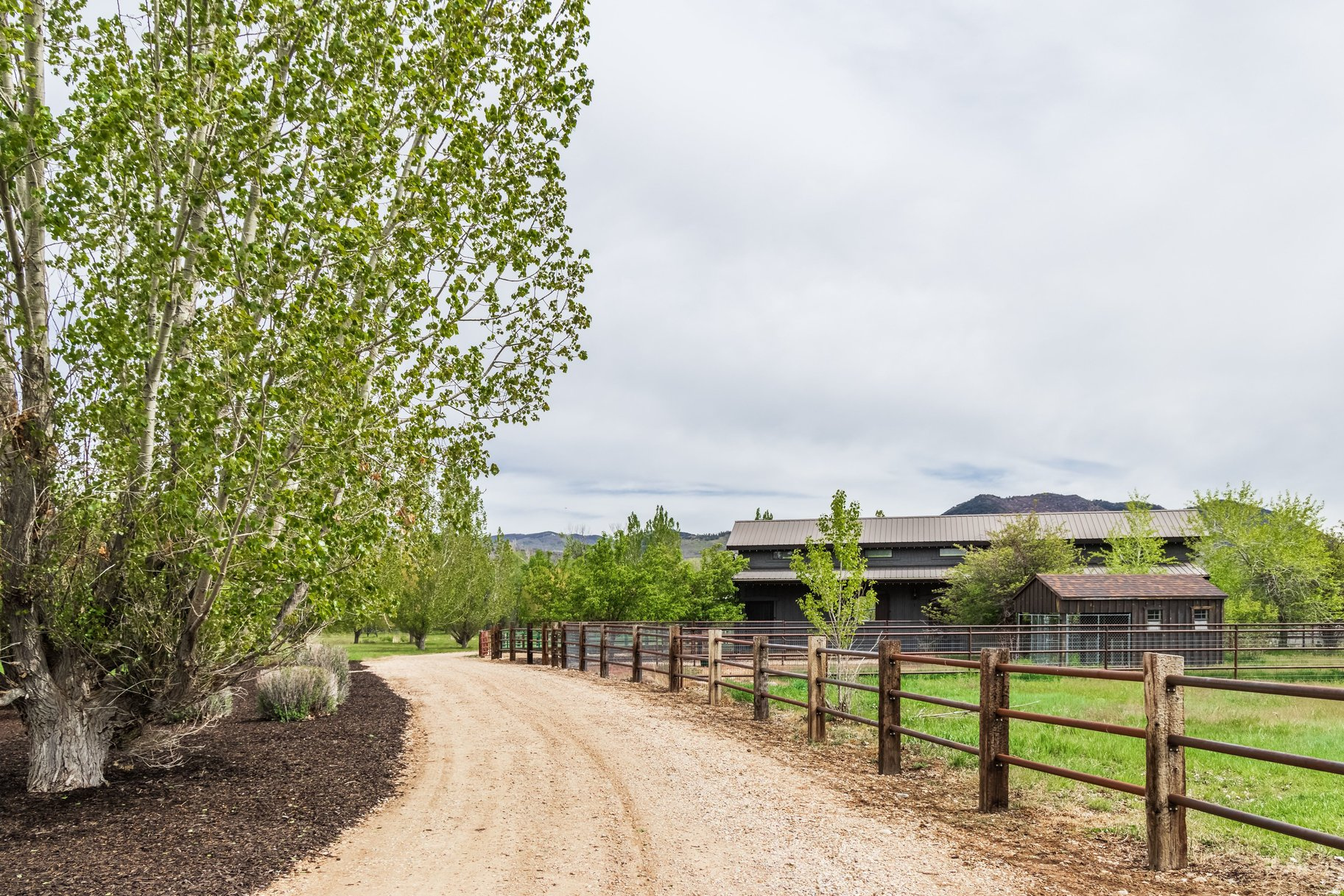 OAKLEY TOWN (BOULDERVILLE) - Residential