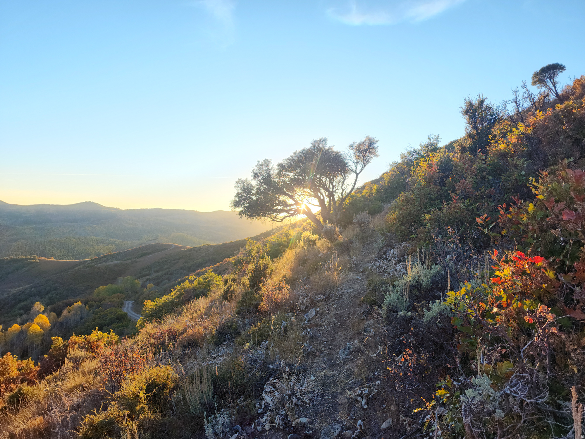 CANYON RIM - Land