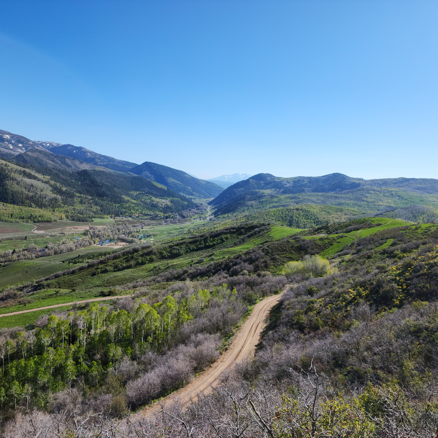 CANYON RIM - Land