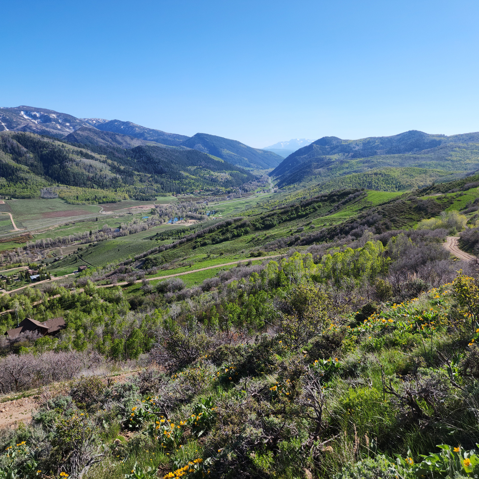 CANYON RIM - Land