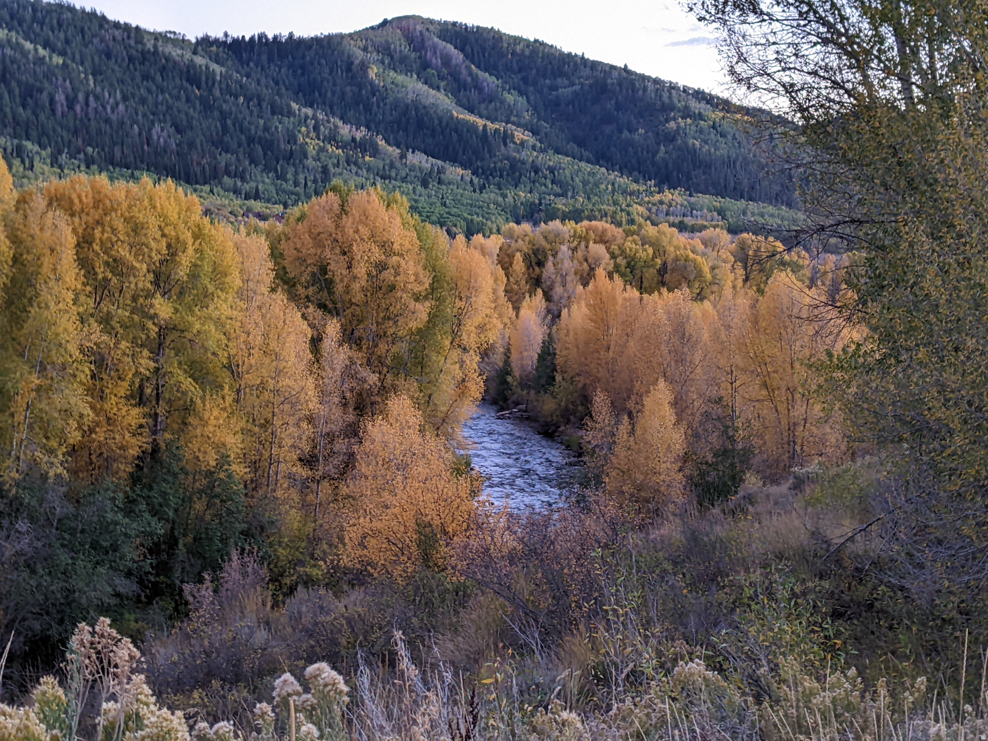 CANYON RIM - Land