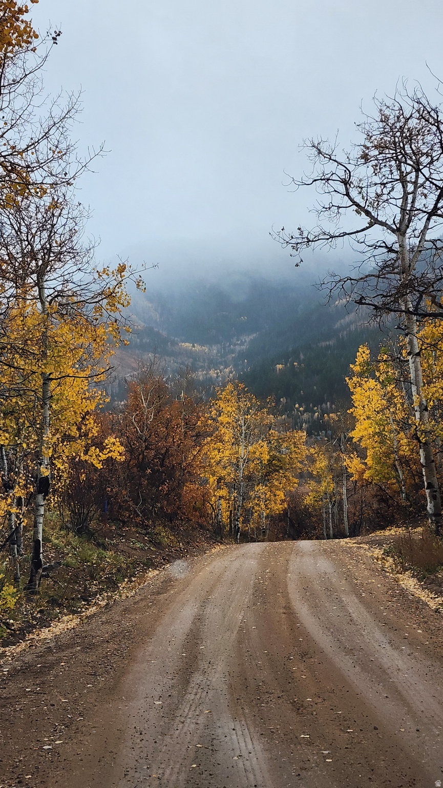 CANYON RIM - Land