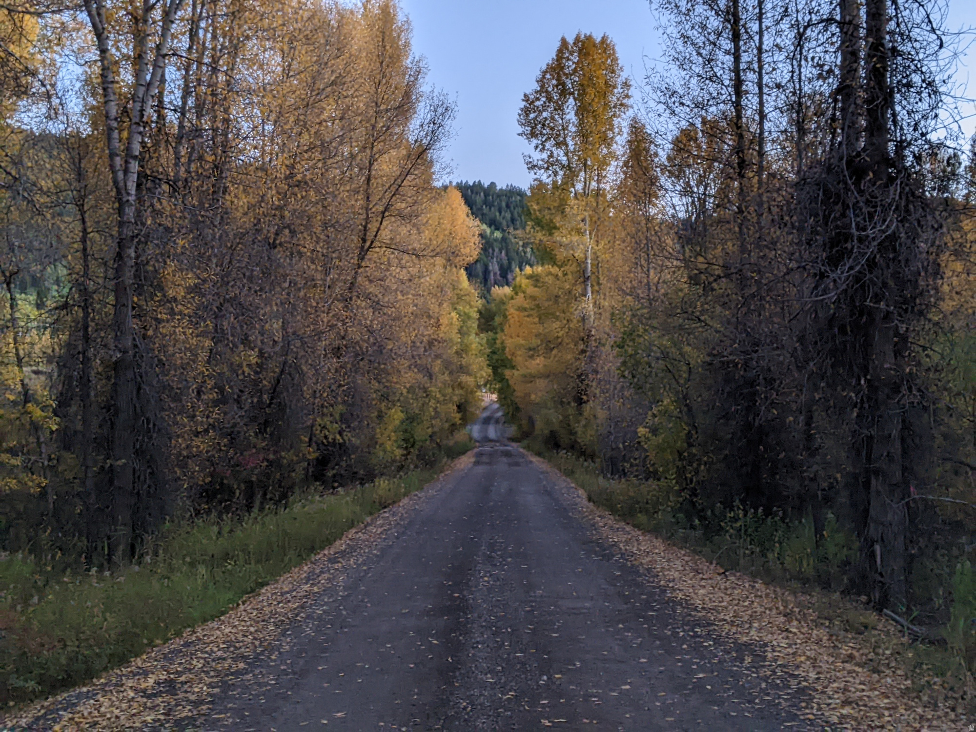 CANYON RIM - Land