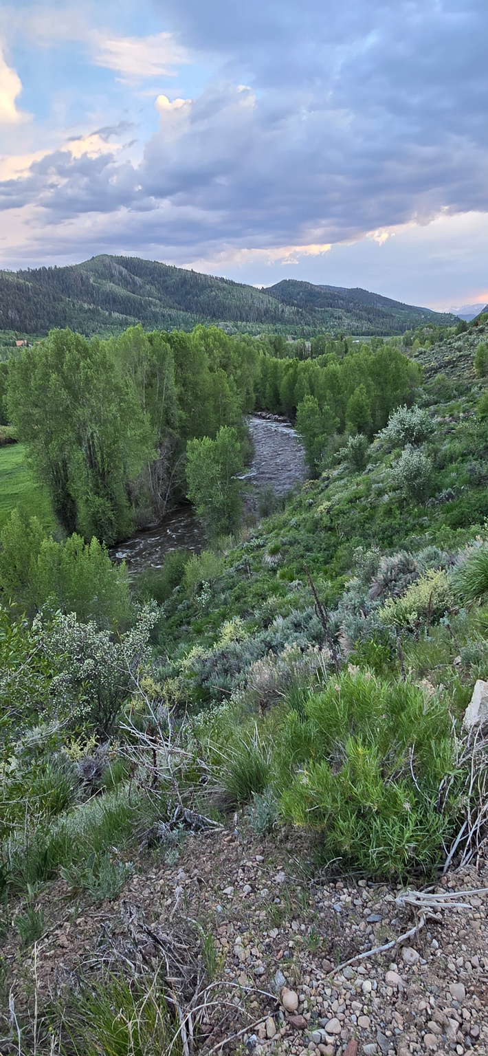 CANYON RIM - Land