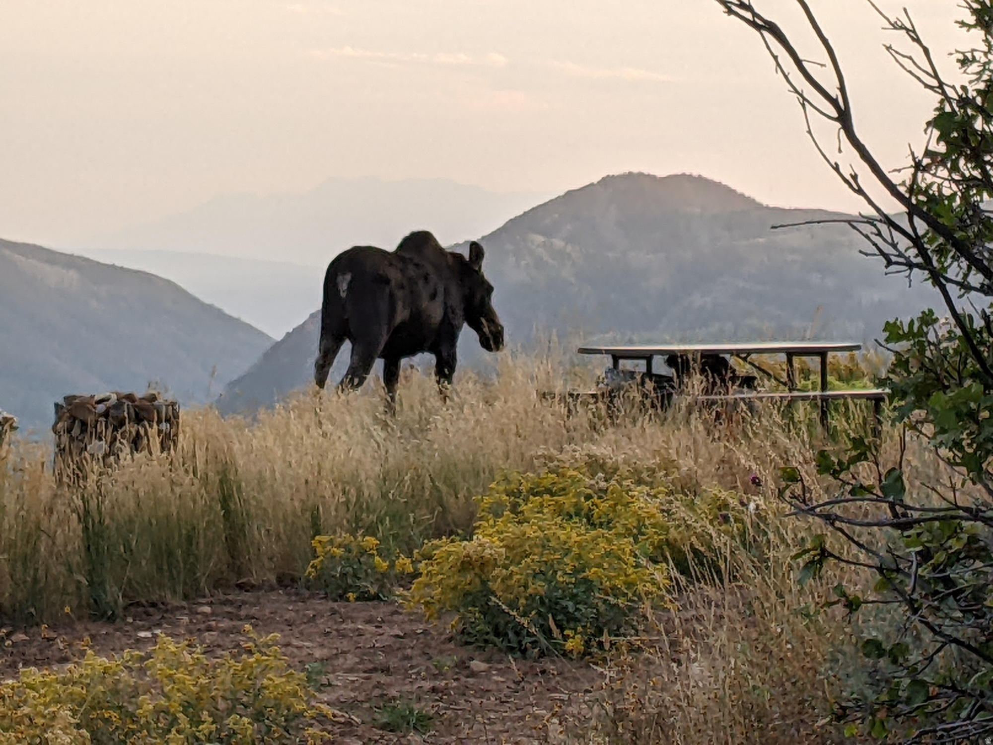 CANYON RIM - Land