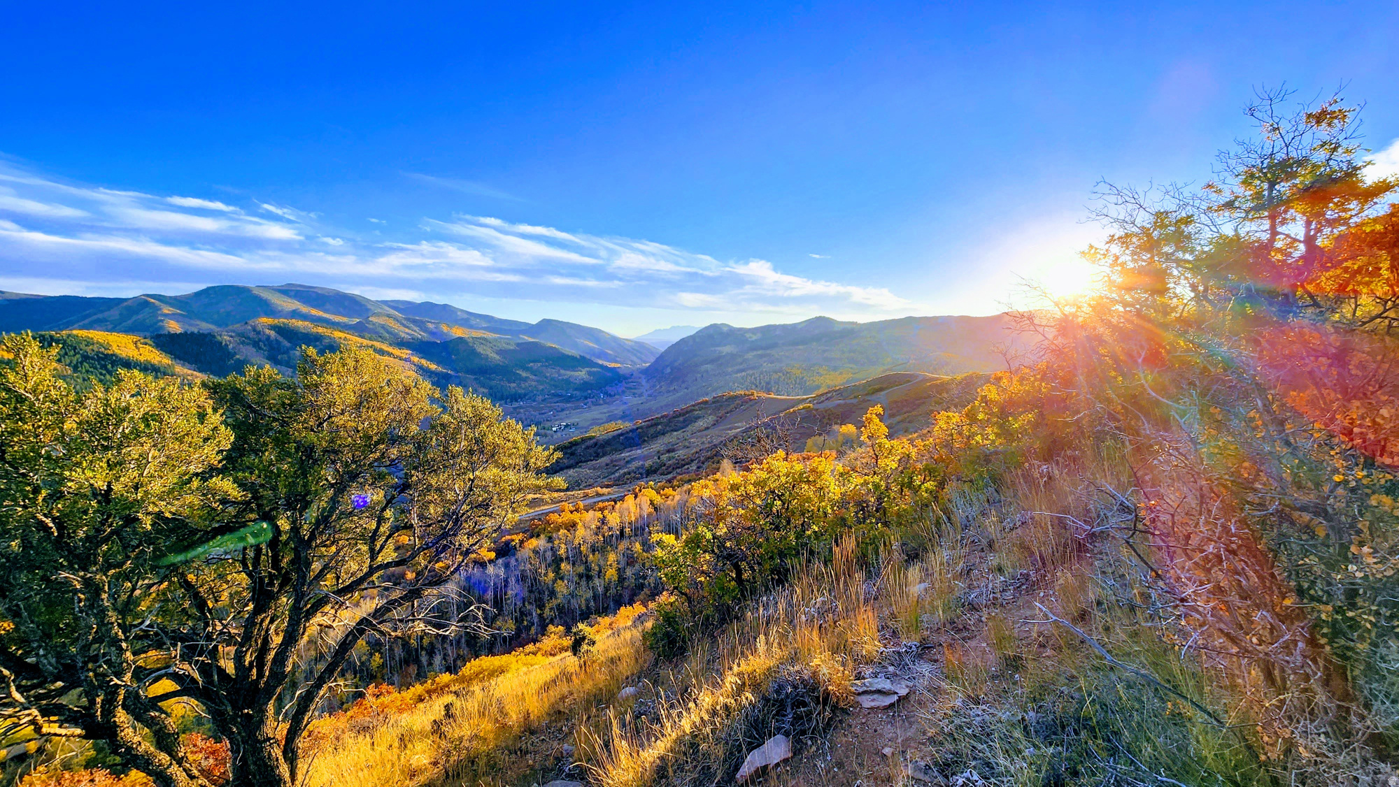 CANYON RIM - Land