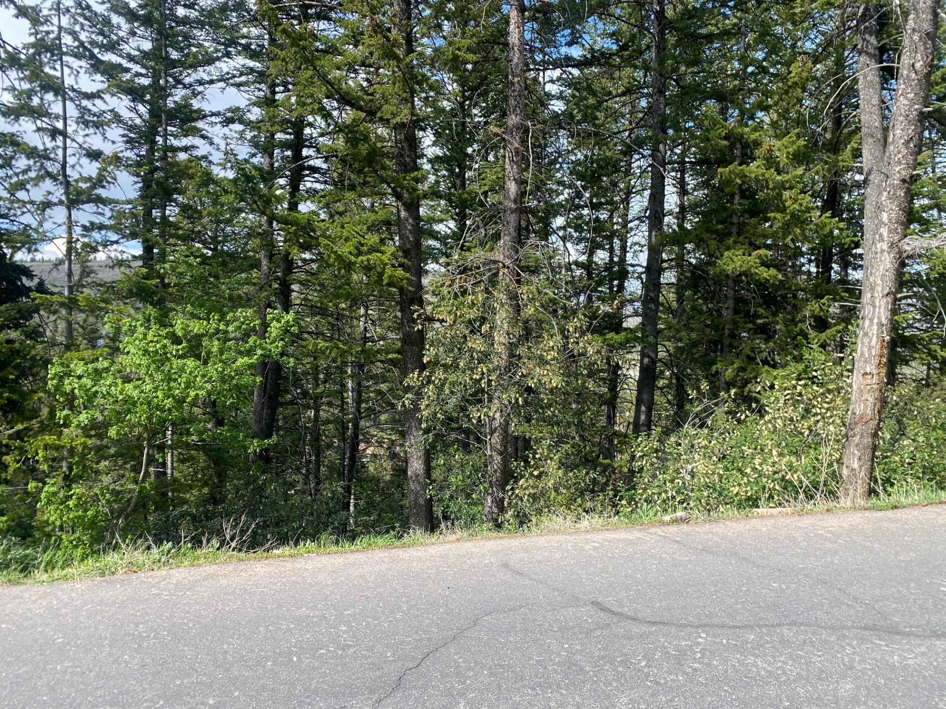 SUMMIT PARK SUBDIVISION - Land