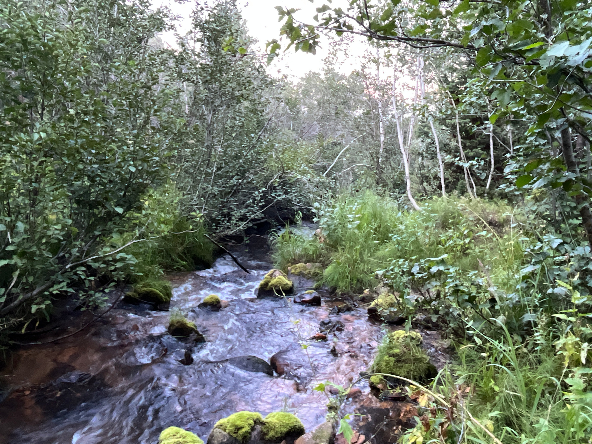 CABIN-READY CANYON LOTS WITH CREEK, SPRINGS AND POWER - Mountain property bordering Cache National Forest  - Year-round creek - Springs approved for development for culinary water for up to two cabins - Skinner Canyon Ag lots #1 and #2, sold together - Overhead power available on lot #2 with previously cleared build site and seasonal access driveway - Aspen groves and towering evergreens on lower section of the property - Panoramic views of Bear River Mountain Range and Nounan Valley on the high ground - Property accessed from Nounan Road, a paved year-round road.  Winter maintenance ends approximately 1.5 miles before the property on Skinner Canyon Road. - Skinner Canyon Road is a well-maintained seasonal county dirt and gravel road - Grouse, deer, moose and elk  - Hunting Unit 75 - Build the cabin of your dreams and create your perfect oasis escape on this scenic property tucked in the Bear River Mountain Range.  Enjoy the panoramic views of the mountains and valley from the high vantage point at the apex of the property.  Much of the terrain is steep sloping ground covered primarily with grasses and light sage.  Relax to the gentle sounds of the aspen leaves rustling in the canyon breeze and the babbling brook as it gingerly flows through the trees in the wooded section below.  In the fall, the lush evergreen carpeted mountainside view is particularly vibrant when in contrast with the golden leaves and white trunk of the aspens and the brilliant red and orange leaves of the other deciduous trees.  There are many signs that wildlife is drawn to this property with the year-round creek and natural vegetation providing shelter and habitat.  Signs of grouse, deer, moose and elk are evident.  Relax and enjoy wildlife viewing from the privacy of your own backyard.     The terrain offers endless exploration both on and off the property.  The entire western border backs up to the Cache National Forest, so let the outdoor adventure begin.  Set up camp in your own backyard or trek through thousands of acres of National Forest.  This is an outdoor recreation enthusiast's paradise with miles of dirt roads and trails to explore backpacking, mountain biking, hiking, cruising in ATV's, big game, and upland game hunting.  Winter access requires a snow machine and opens the door to a magical winter wonderland to explore snowmobiling, fat tire biking, cross-country skiing, and snowshoeing.  A canyon property like this one is a rare find