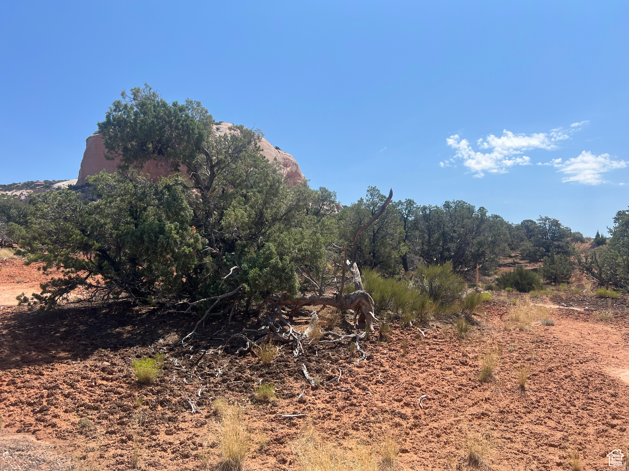 WILSON ARCH COTTAGES - Land