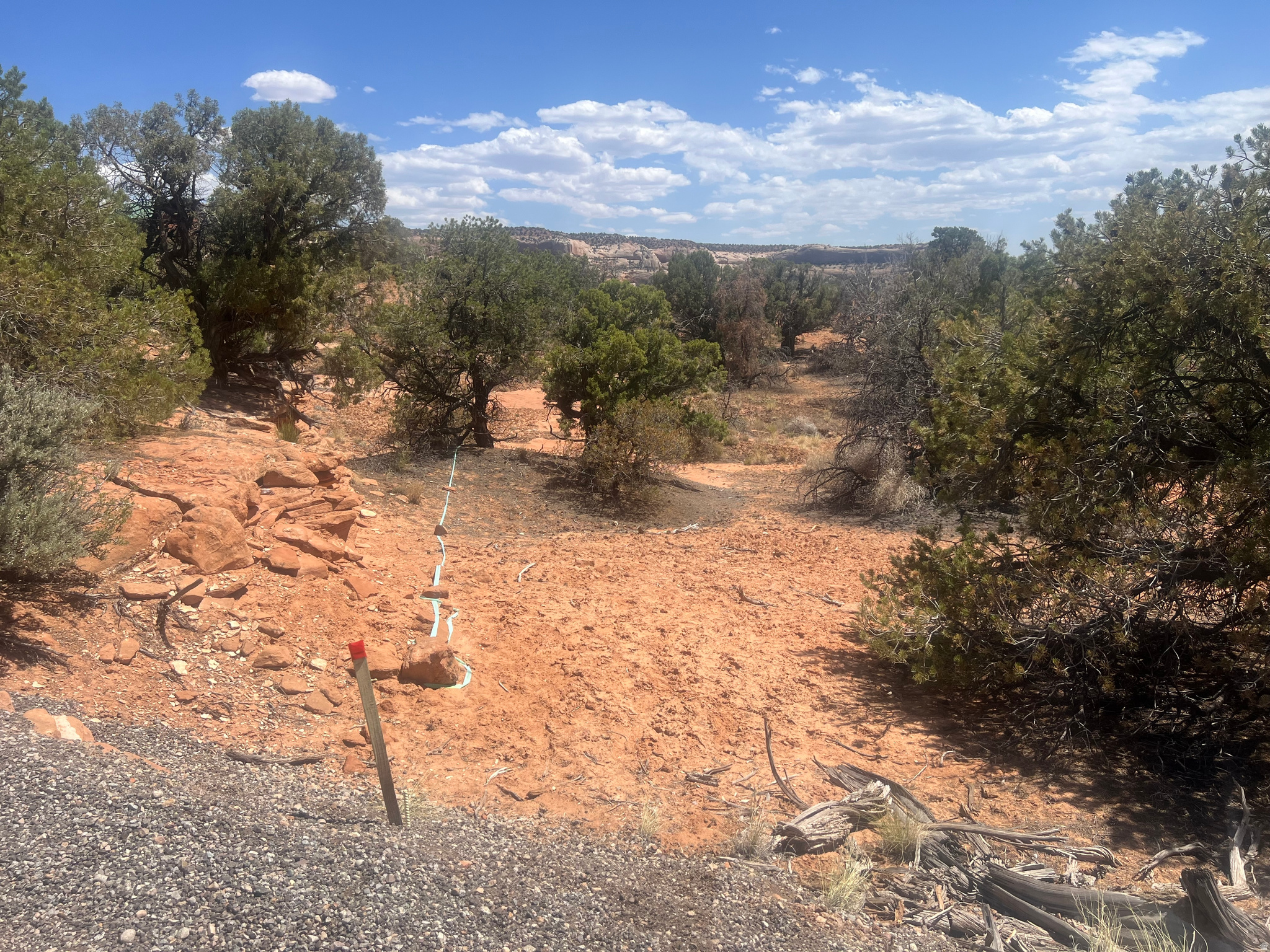 WILSON ARCH COTTAGES - Land