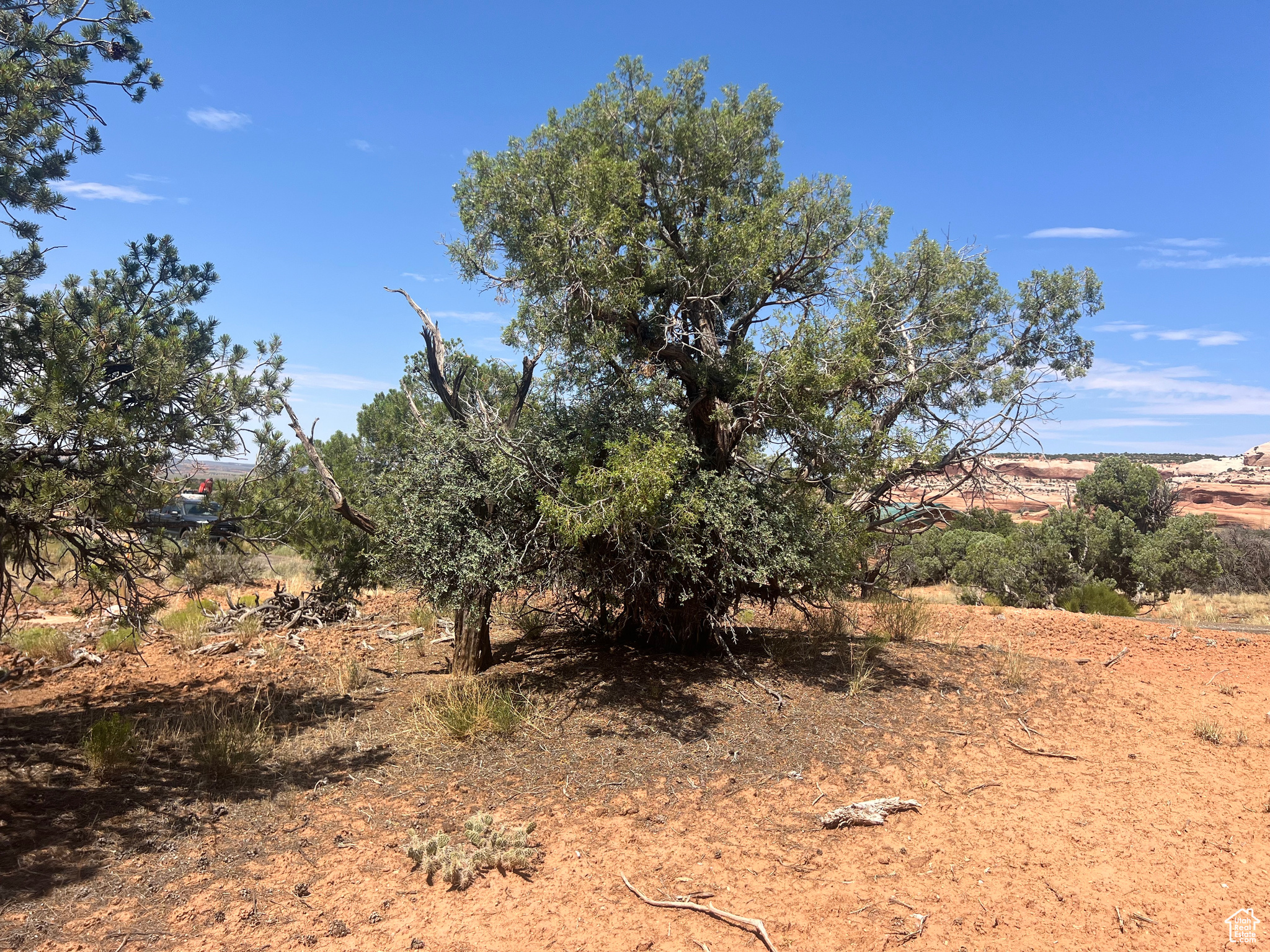 WILSON ARCH COTTAGES - Land