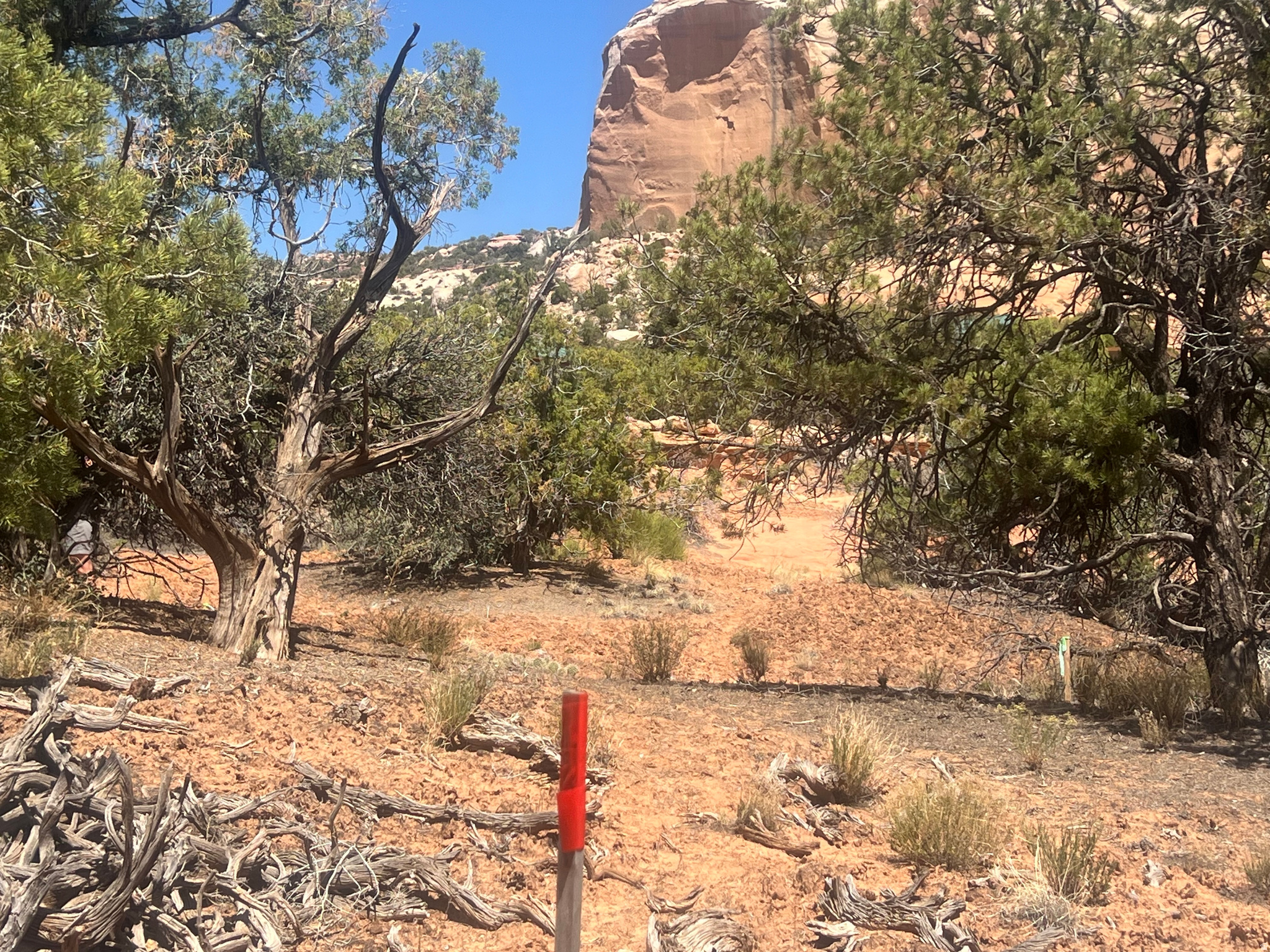 WILSON ARCH COTTAGES - Land