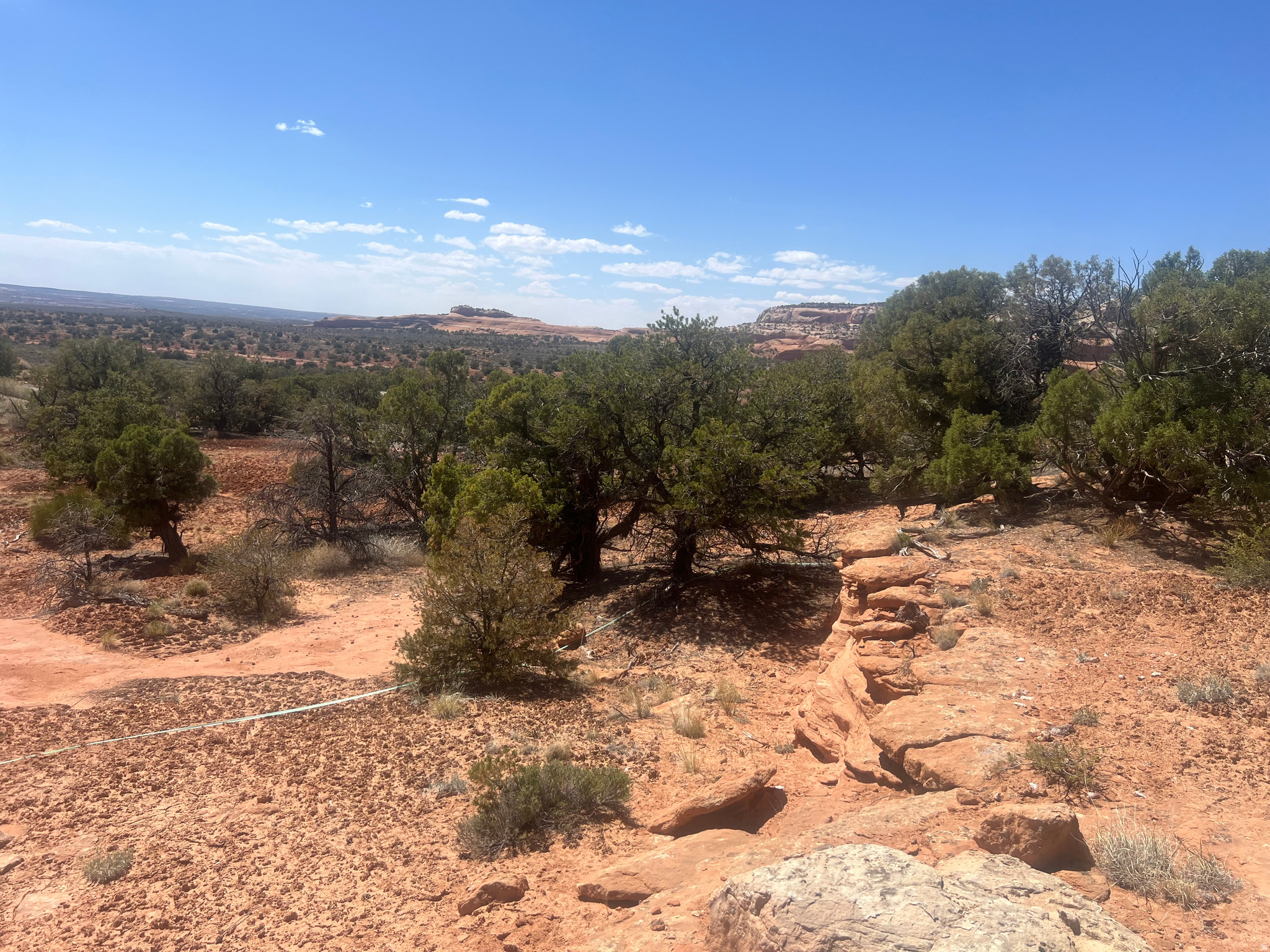WILSON ARCH COTTAGES - Land