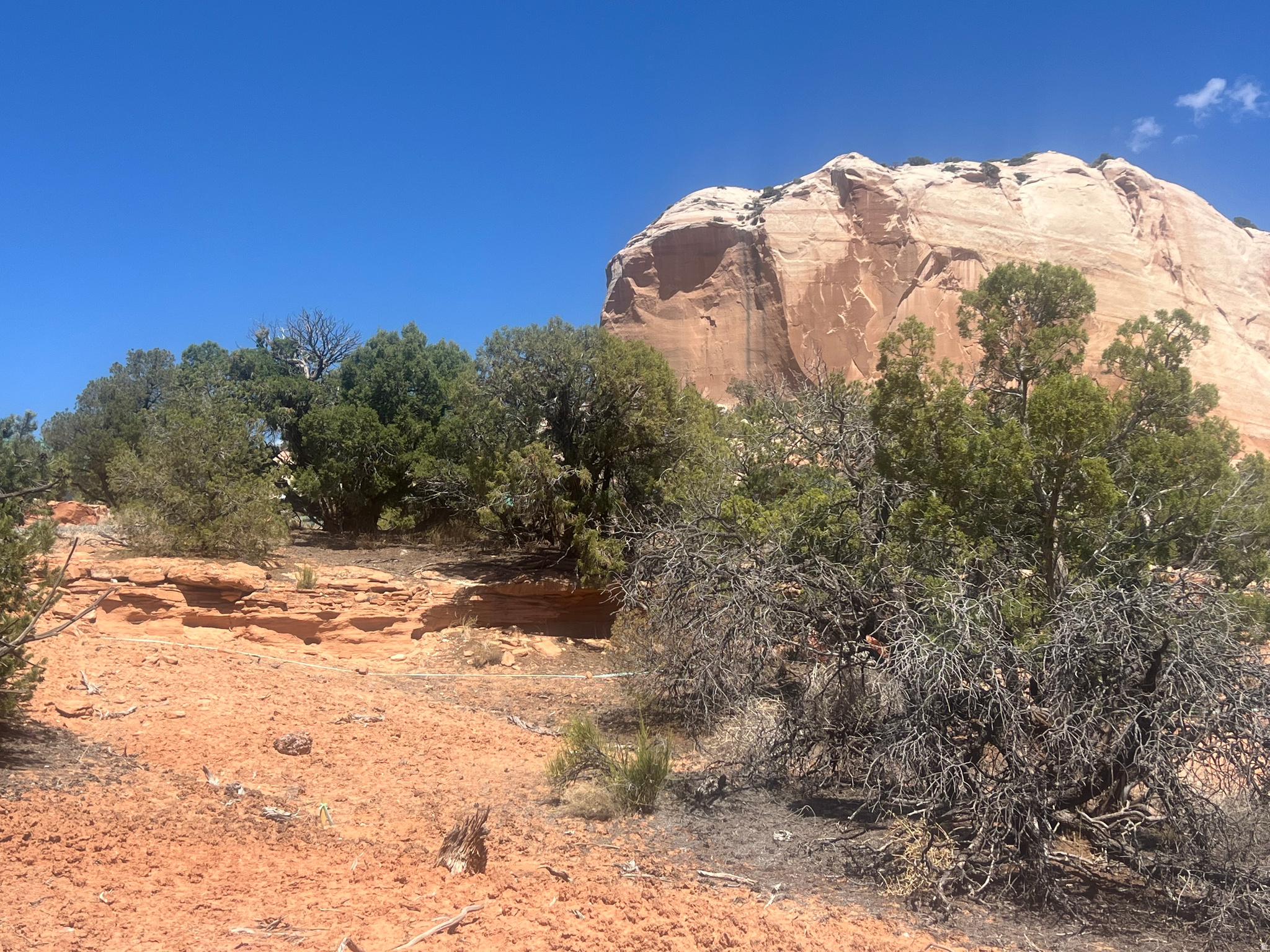 WILSON ARCH COTTAGES - Land