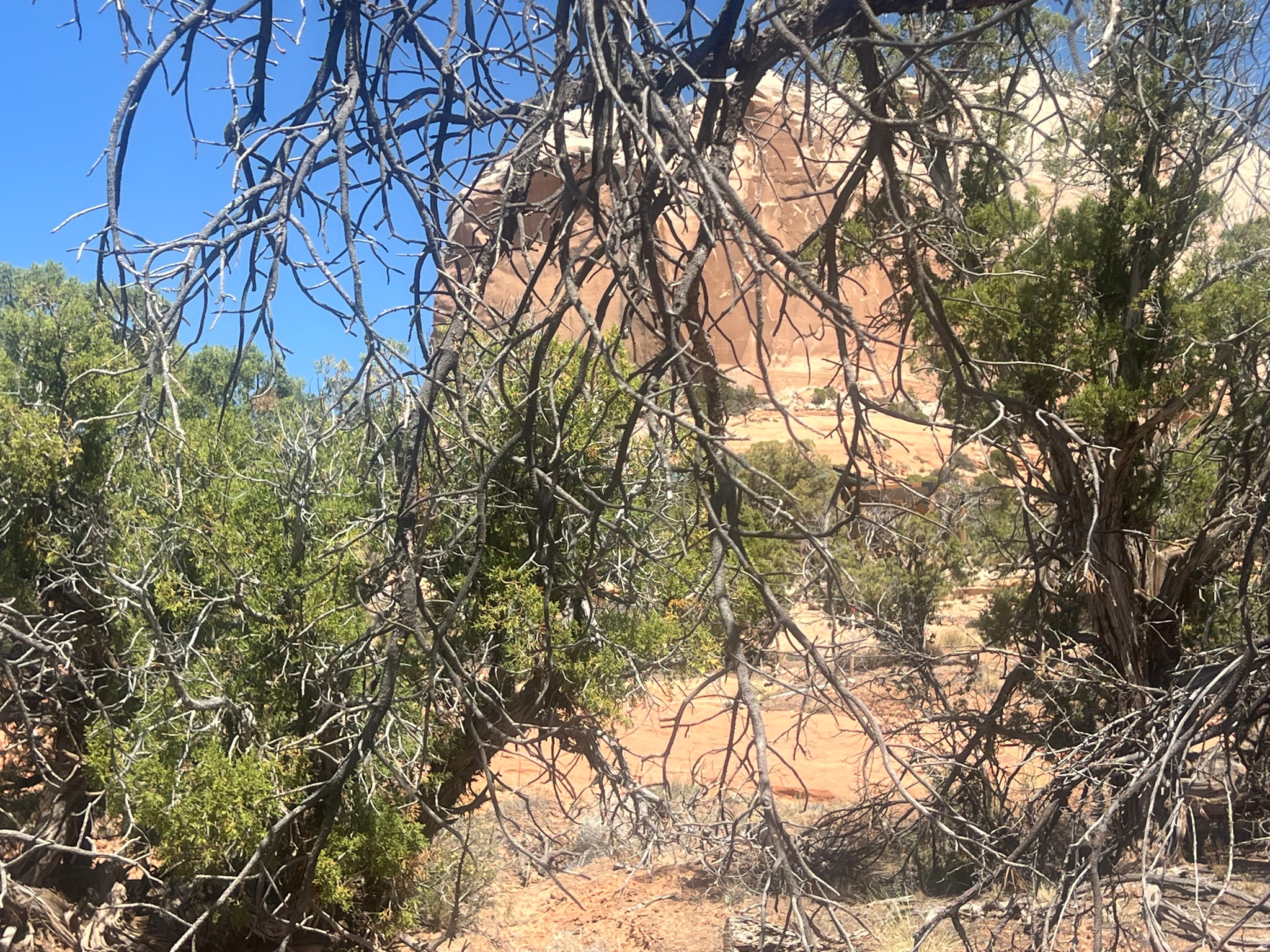 WILSON ARCH COTTAGES - Land