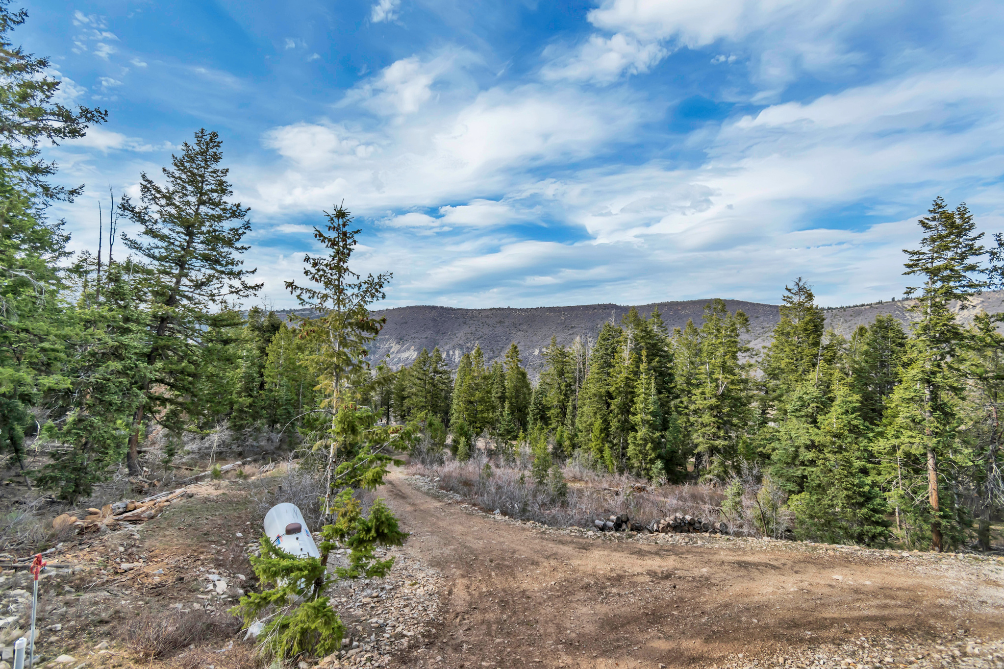SOLDIER SUMMIT ESTATES - Residential