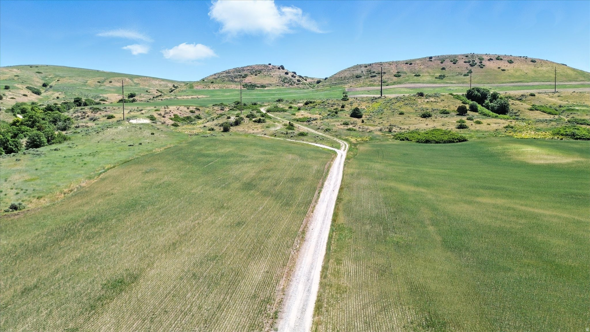Positioned for growth and long-term upside, this 262-acre parcel in Beaver Dam presents a compelling opportunity for developers, investors, or homeowners seeking scale, access, and flexibility. With a mix of flat, buildable ground and gently rolling terrain, the property is well-suited for phased development, ranchette-style parcels, or a thoughtfully designed residential project. Located just 15 minutes from the Cache Valley  - Logan area, the site offers desirable rural living with convenient access to key population centers-an increasingly sought-after combination in Northern Utah. Two established 60-foot-wide access points provide critical infrastructure for ingress/egress and support the property's strong potential for subdivision and future development (buyer to verify). The natural landscape-featuring mature trees and mountain views-adds marketable appeal for end buyers seeking space, privacy, and scenery. 4 Water Rights Included: 29-4783, 29-4798, 29-2707, 29-1939 (4 EDU -  Dwelling | 65 ELU - Livestock). 1.87 Acres Irrigation (11.1 Acre Feet) with 5 points of diversion and spring. With size, location, water resources, and access already in place, this property offers a rare chance to capitalize on continued growth in the region while creating a high-demand rural residential product.