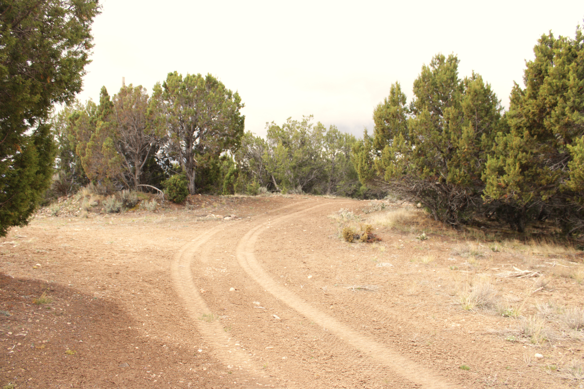 Located near the city of Fairview, this 1.36-acre agricultural parcel in the Westridge Farms subdivision offers a beautiful setting with expansive surrounding views and numerous mature trees throughout the property. A dirt/gravel road leads up to an old well house and then connects to the neighboring parcel. The land includes an older well house (currently not in use) and overhead power lines. Please contact the agent for GPS coordinates or to schedule a tour of the property.