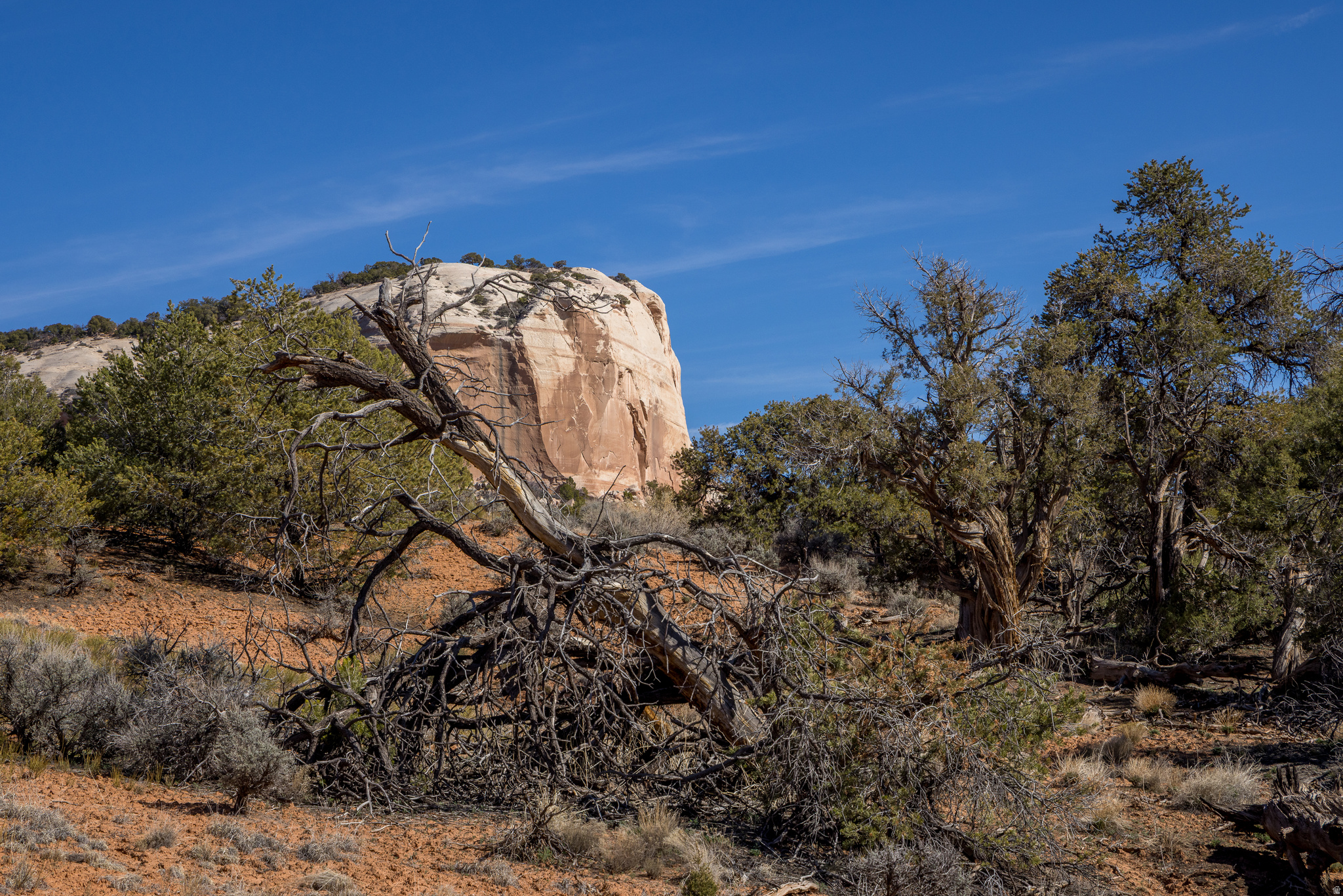 WILSON ARCH RESORT - Land