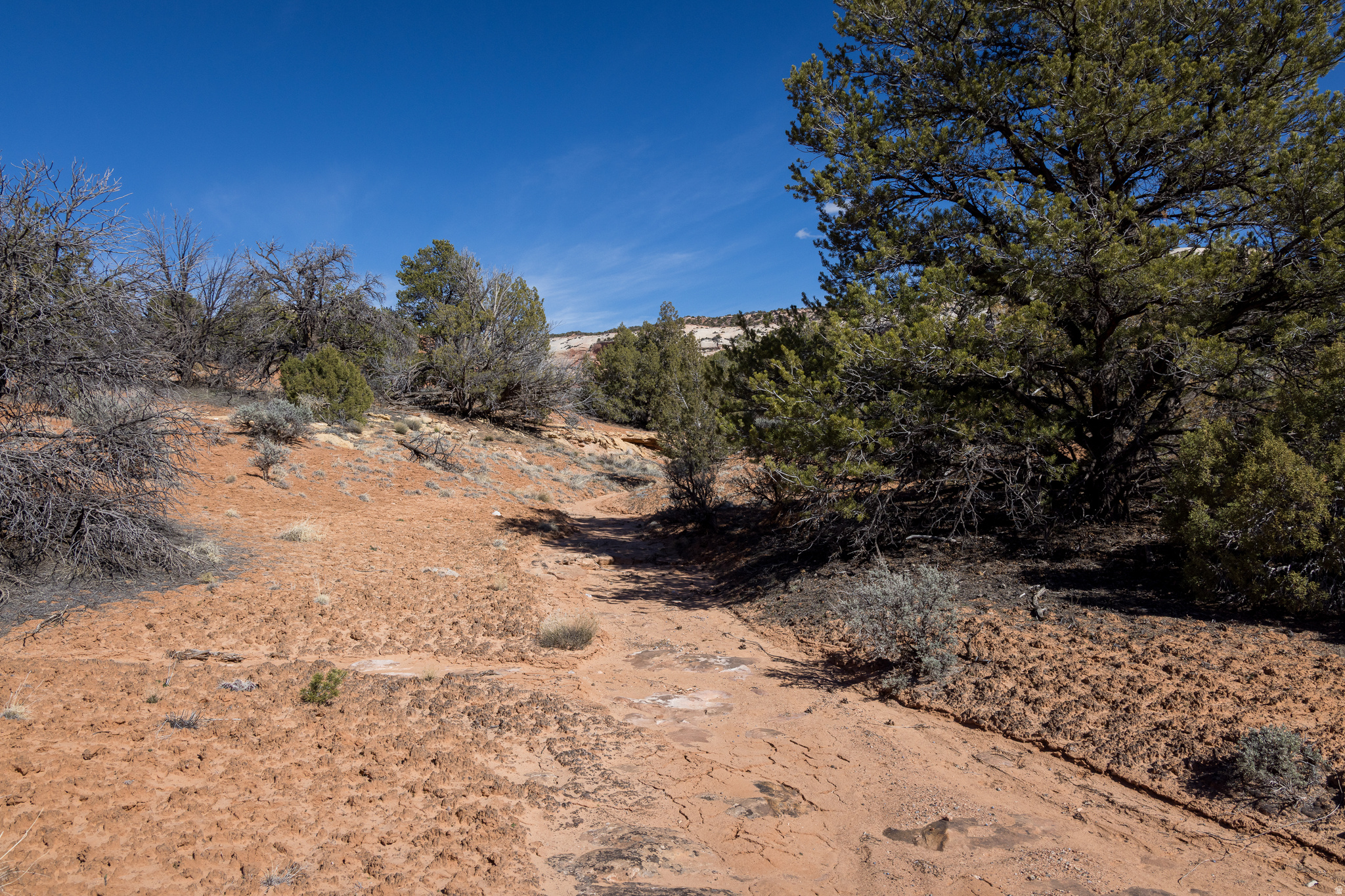 WILSON ARCH RESORT - Land