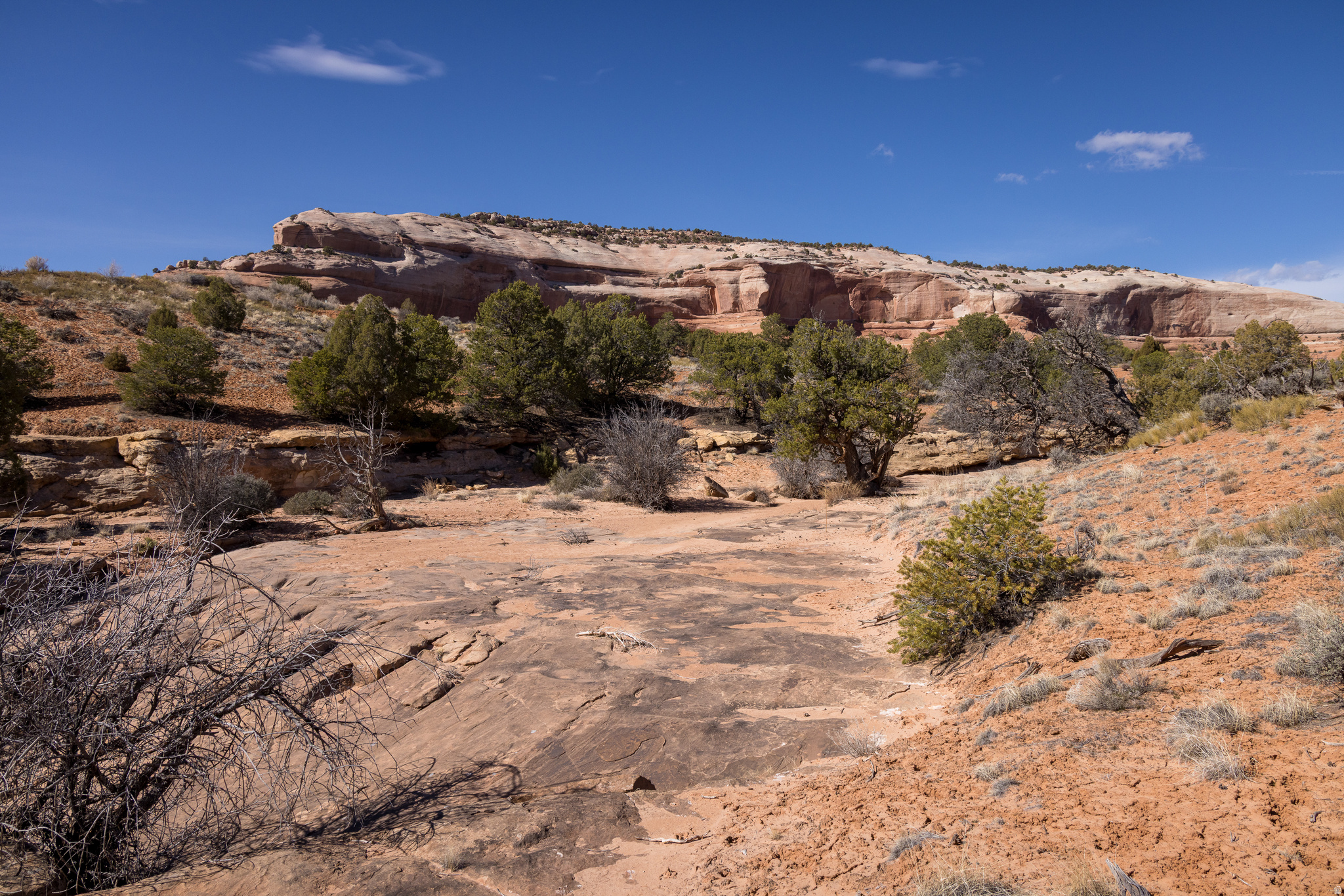 WILSON ARCH RESORT - Land