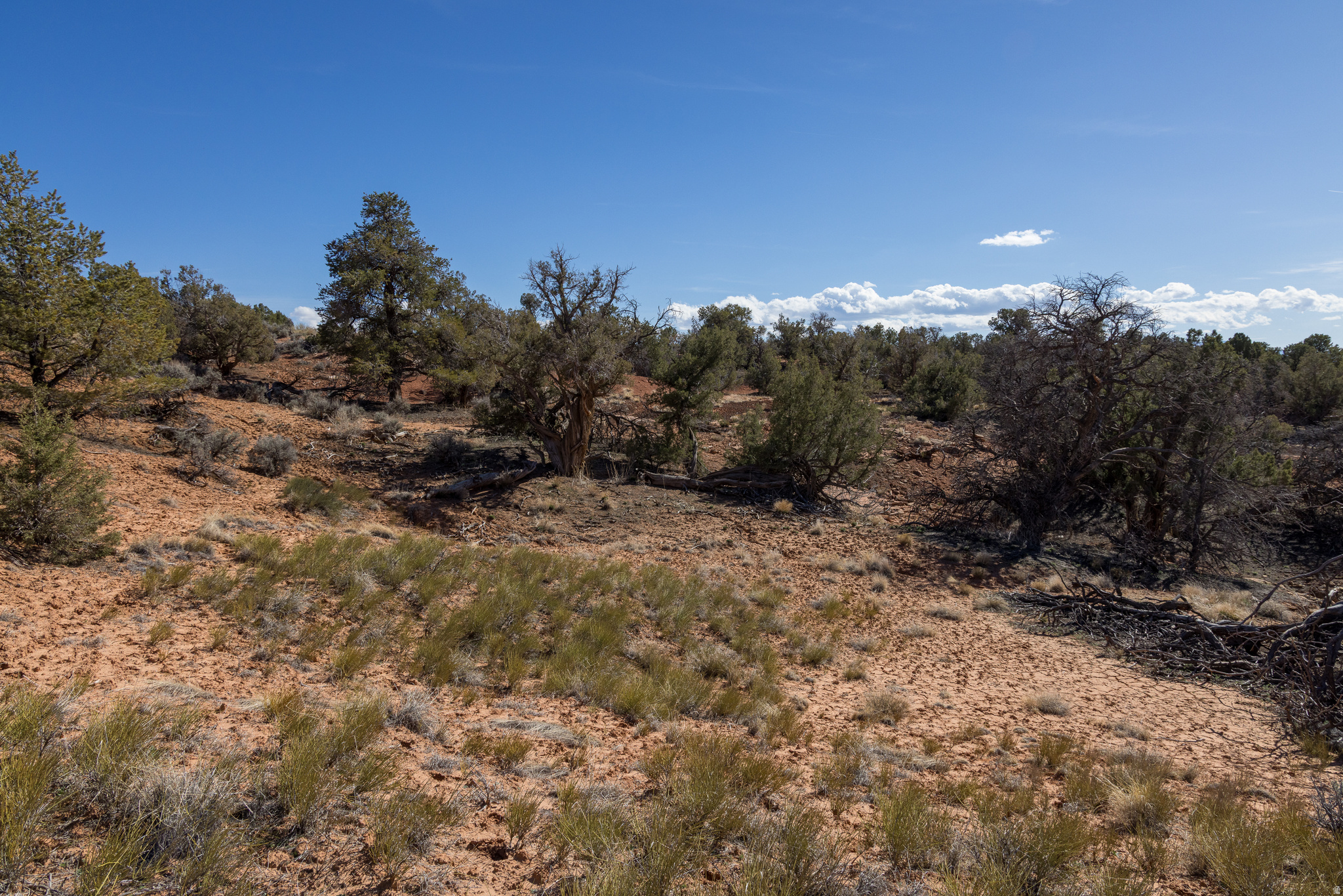 WILSON ARCH RESORT - Land