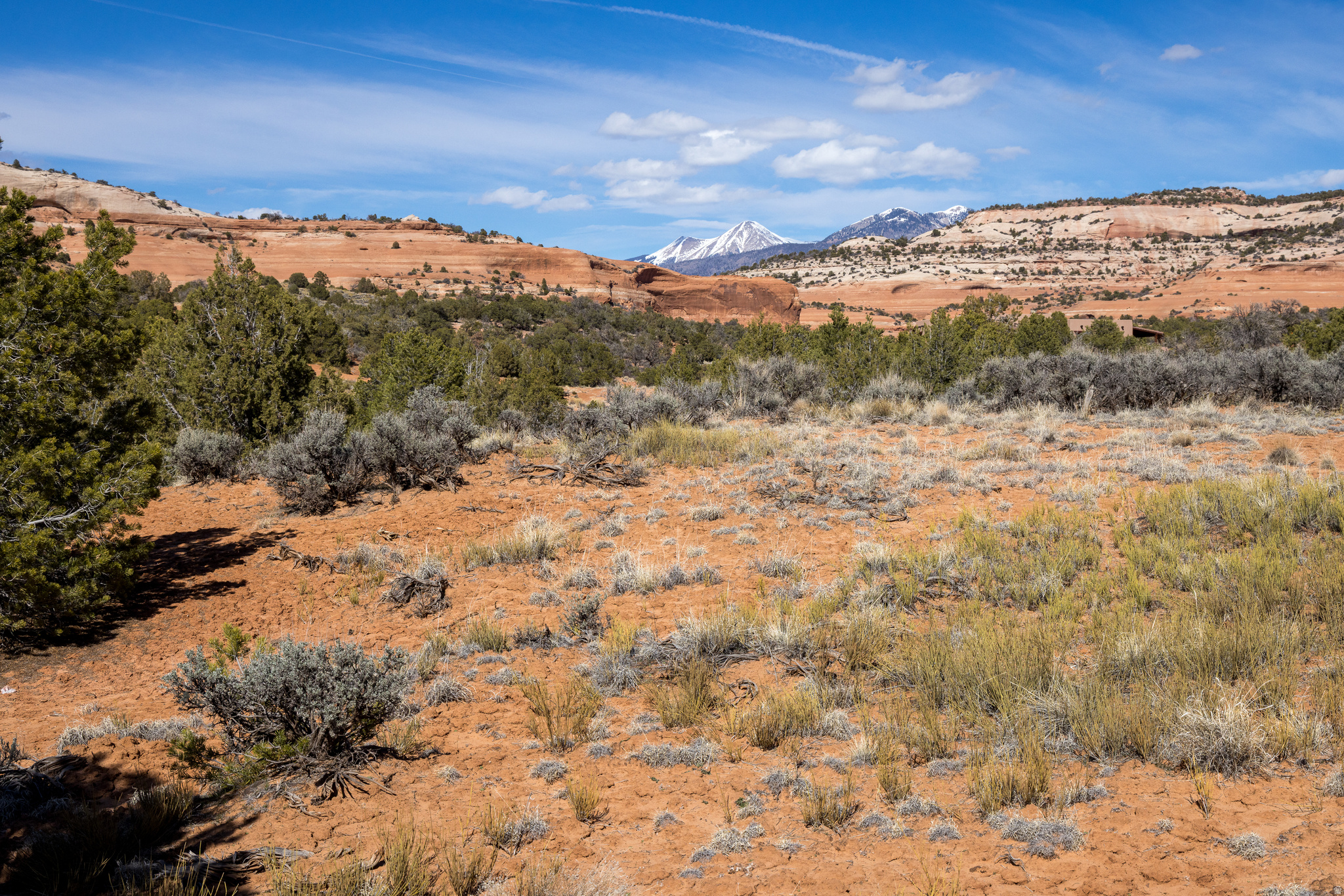 WILSON ARCH RESORT - Land