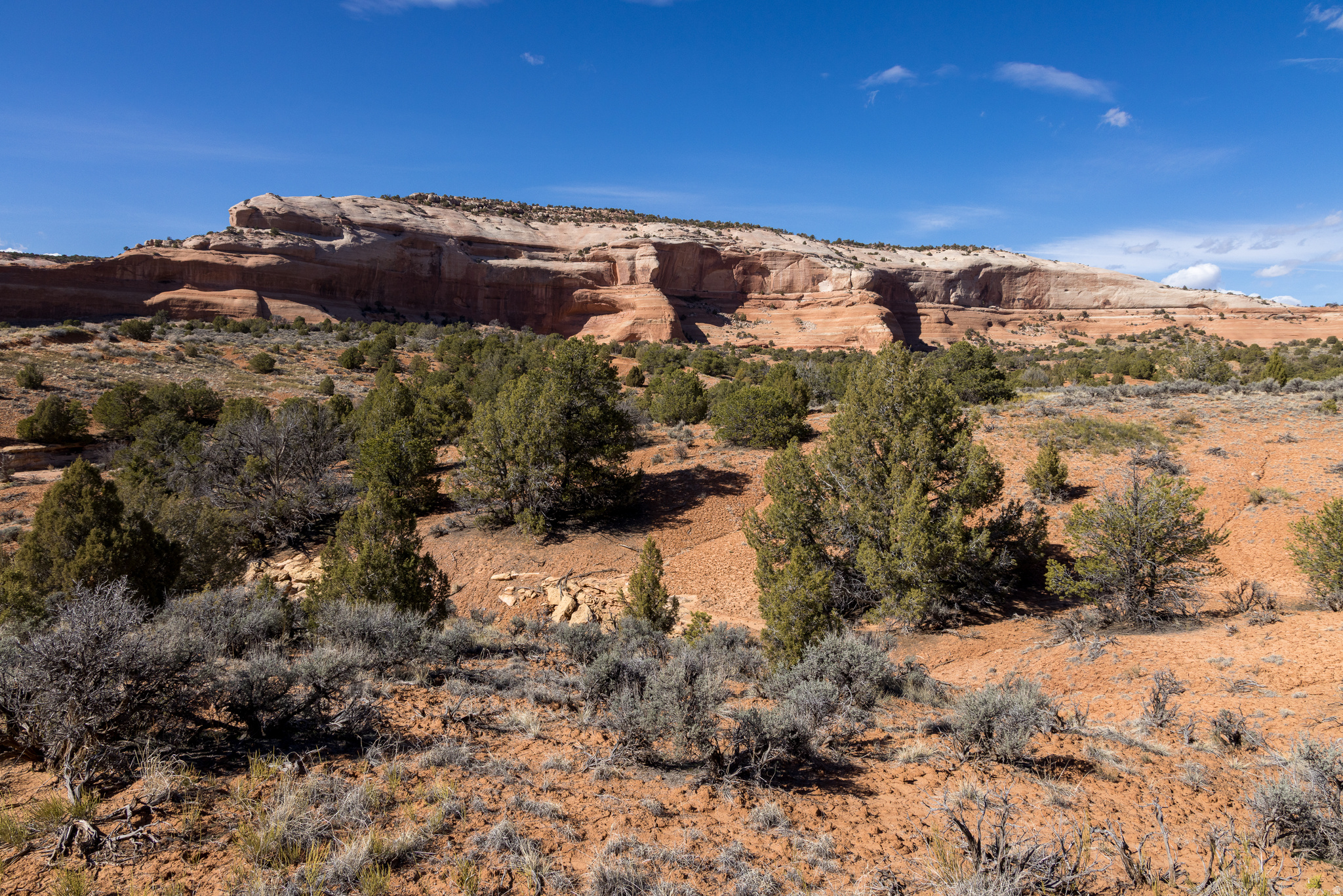 WILSON ARCH RESORT - Land