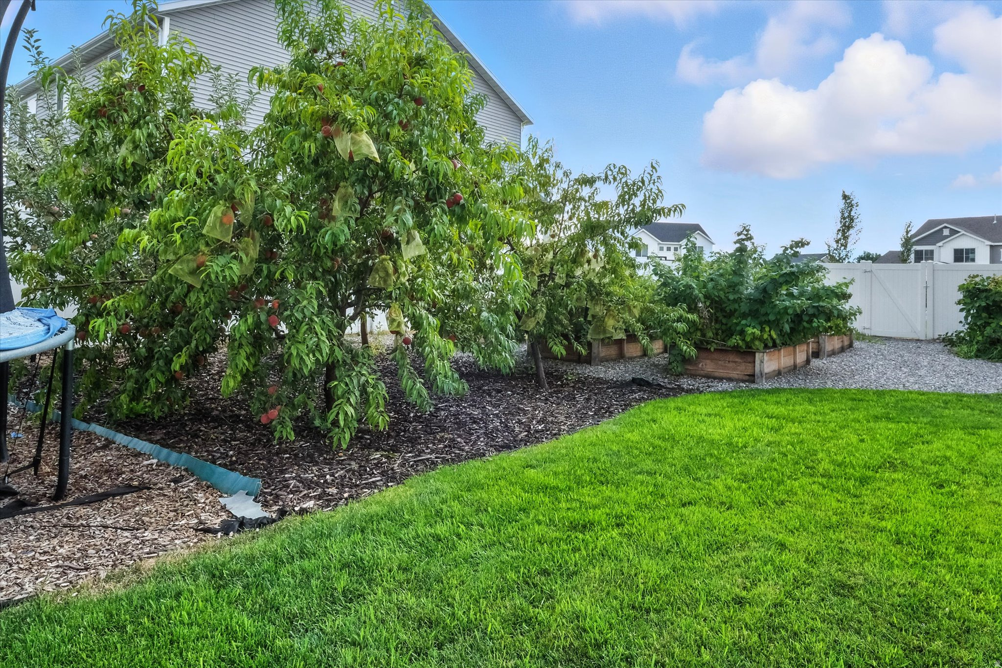 SUNRISE MEADOWS - Residential