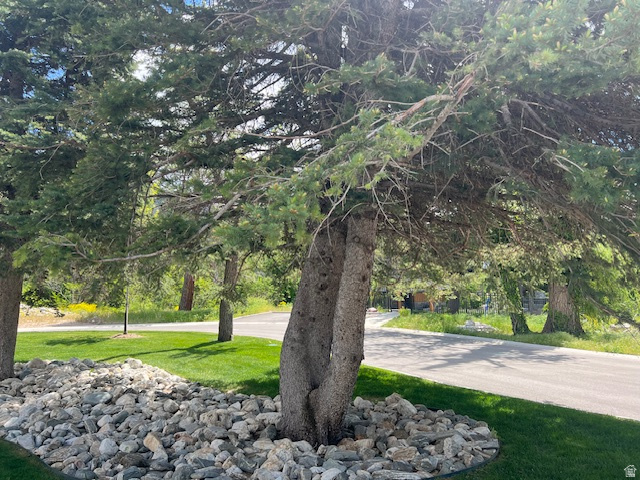 PRESERVE AT FARMINGTON - Land
