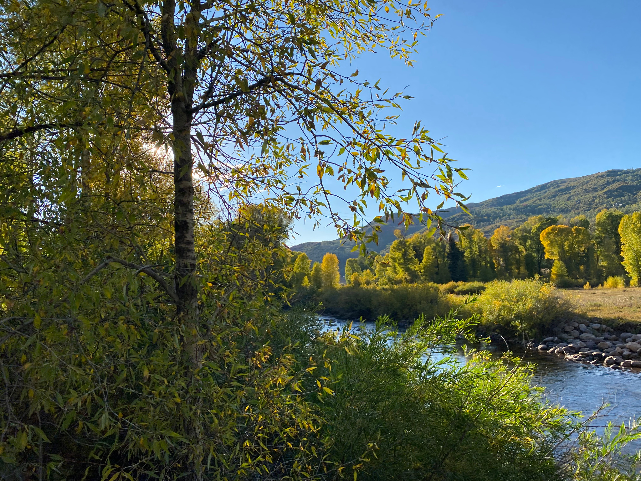 BEAVER SPRINGS RANCH - Residential