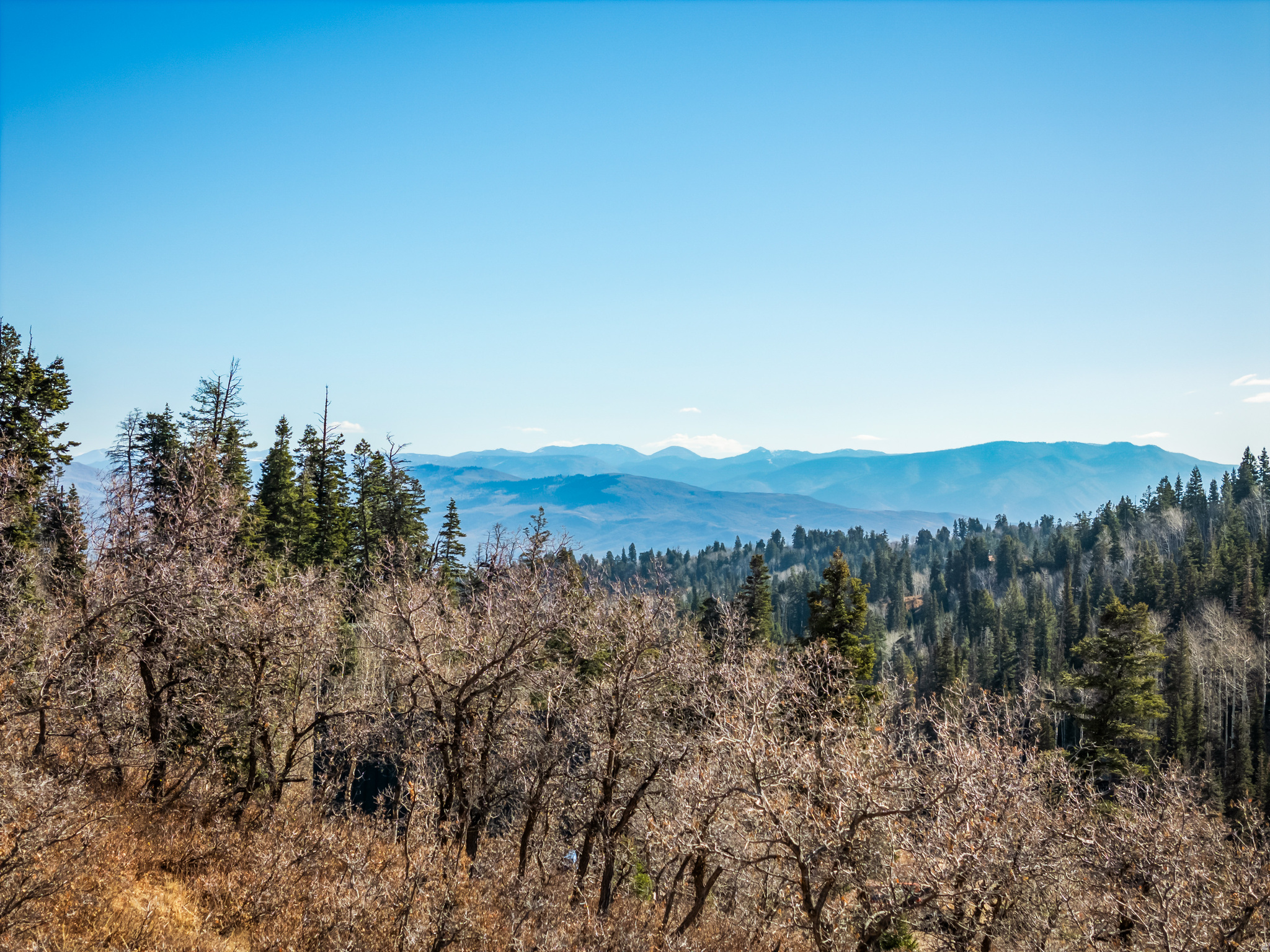 PINE MEADOWS - Land