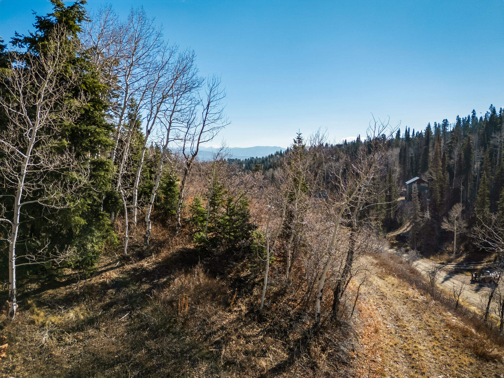 PINE MEADOWS - Land