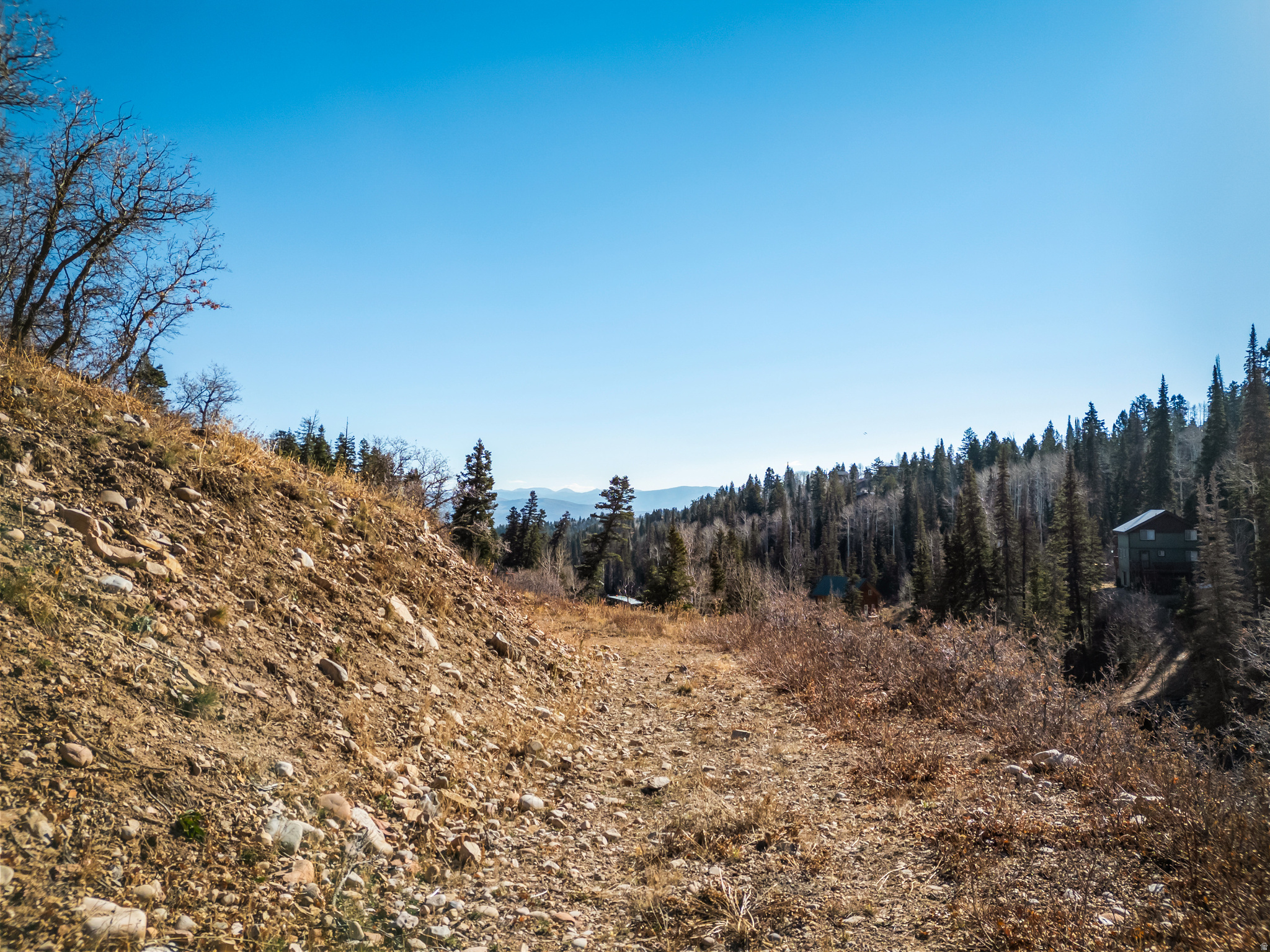 PINE MEADOWS - Land