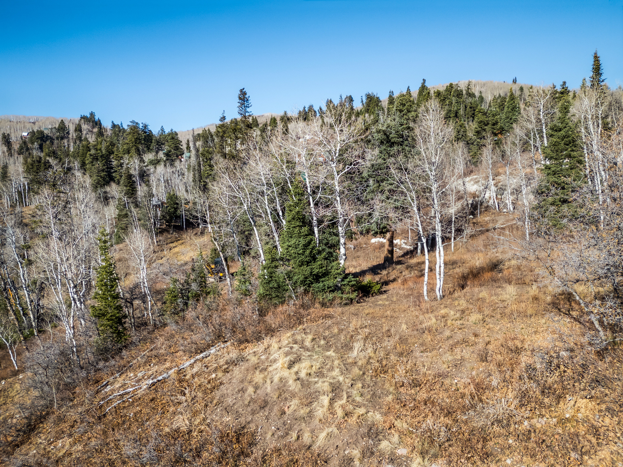 PINE MEADOWS - Land
