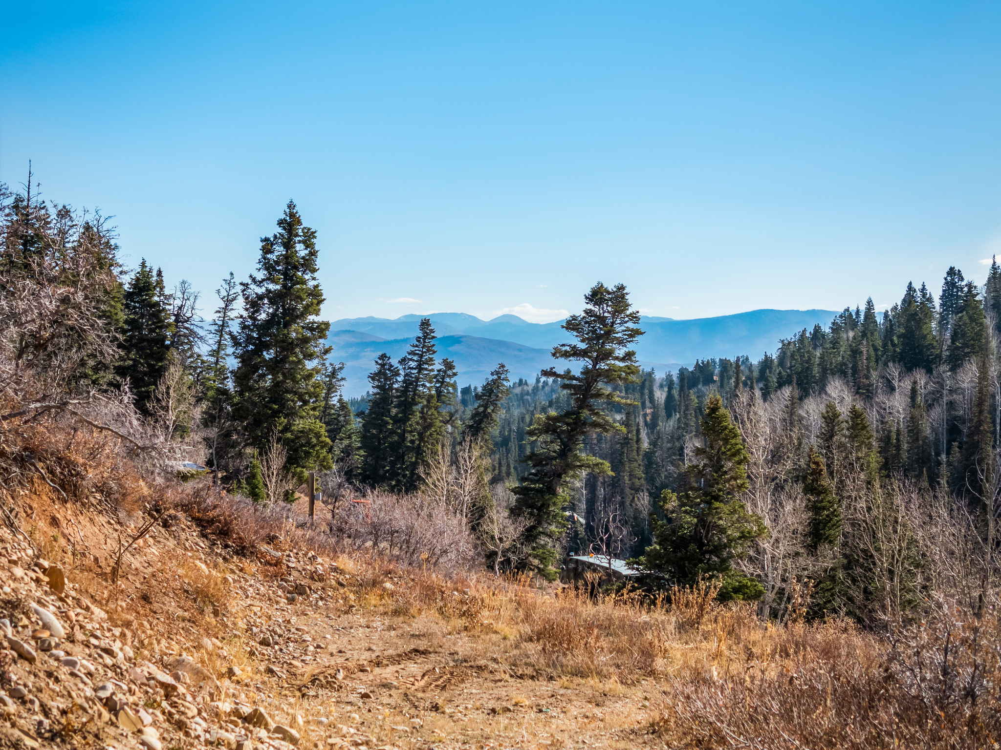 PINE MEADOWS - Land