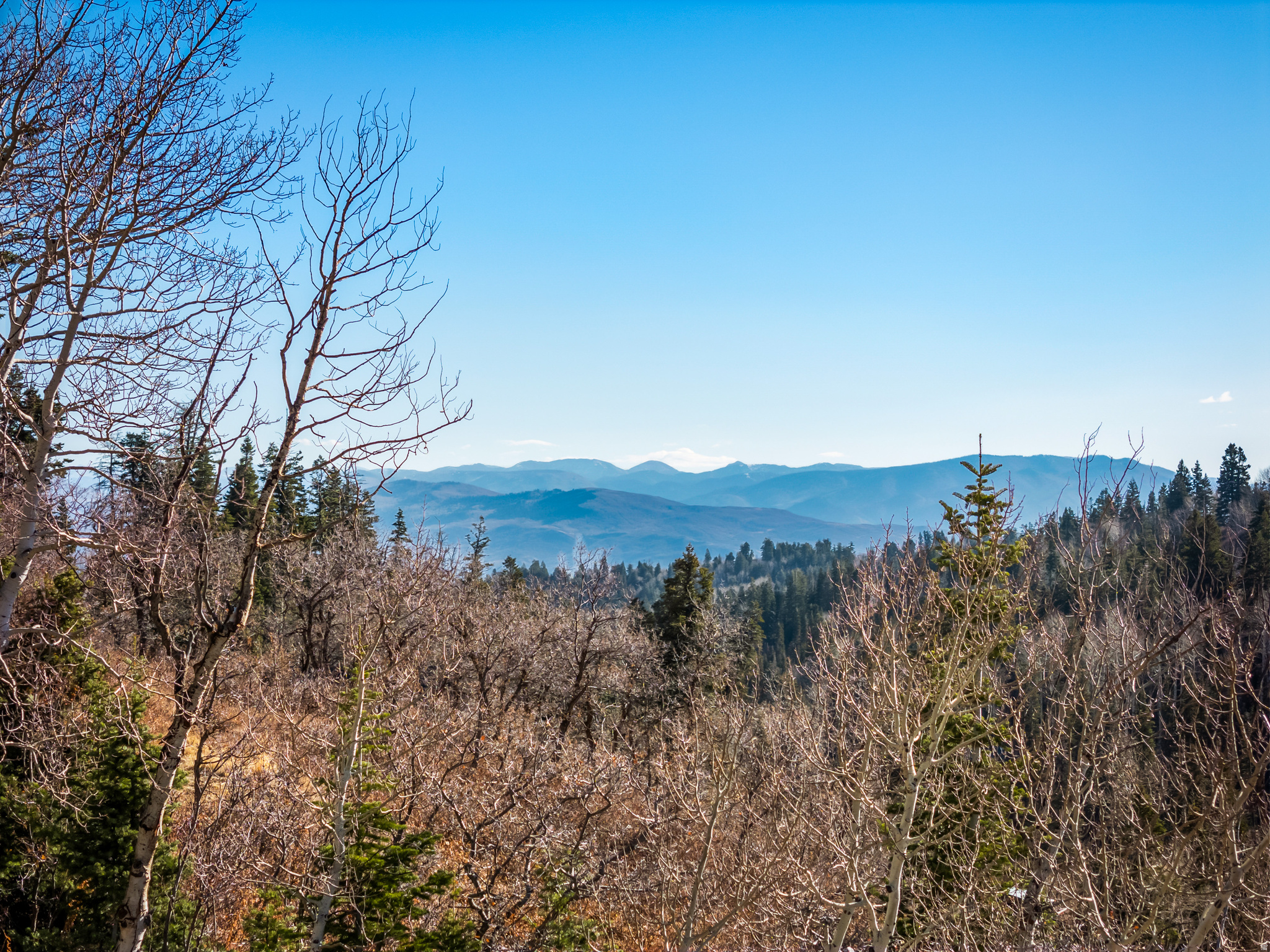 PINE MEADOWS - Land