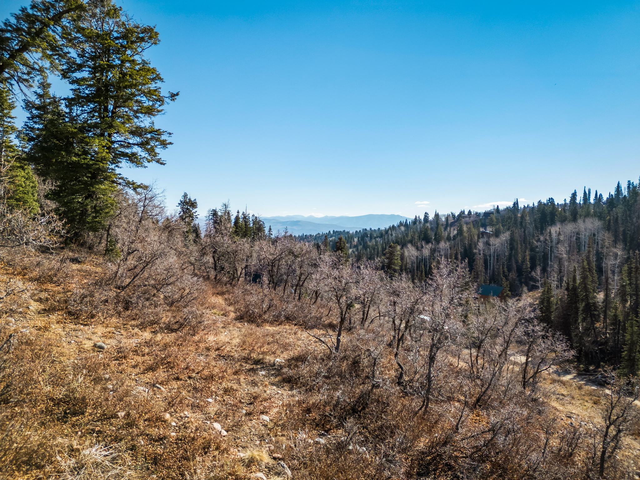 PINE MEADOWS - Land