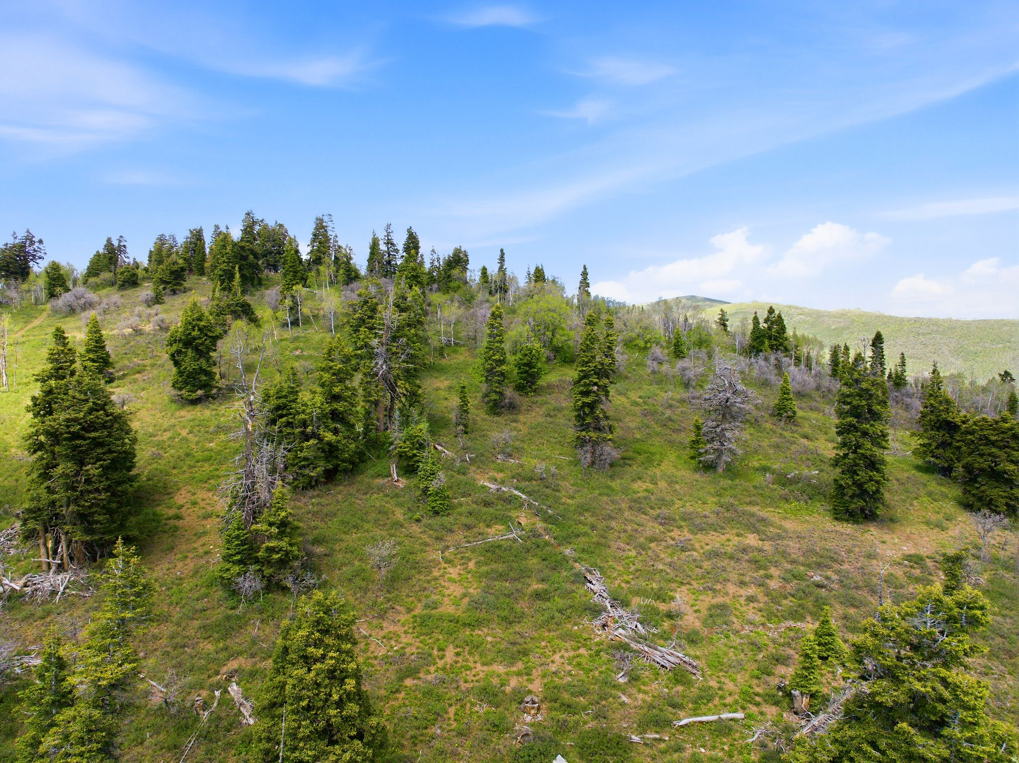 TOLLGATE - Land